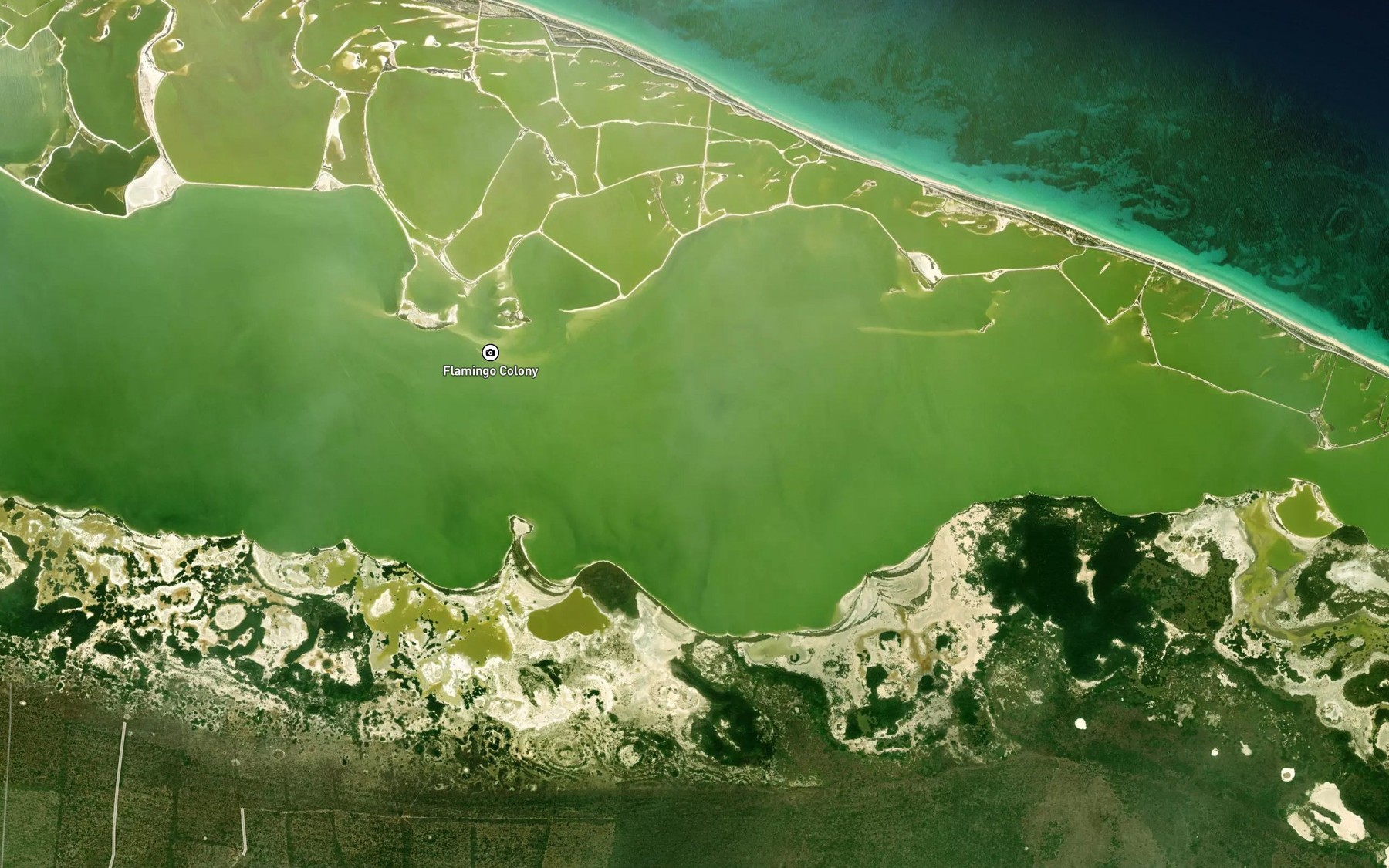 Satellite map of the Estero Rio Lagartos