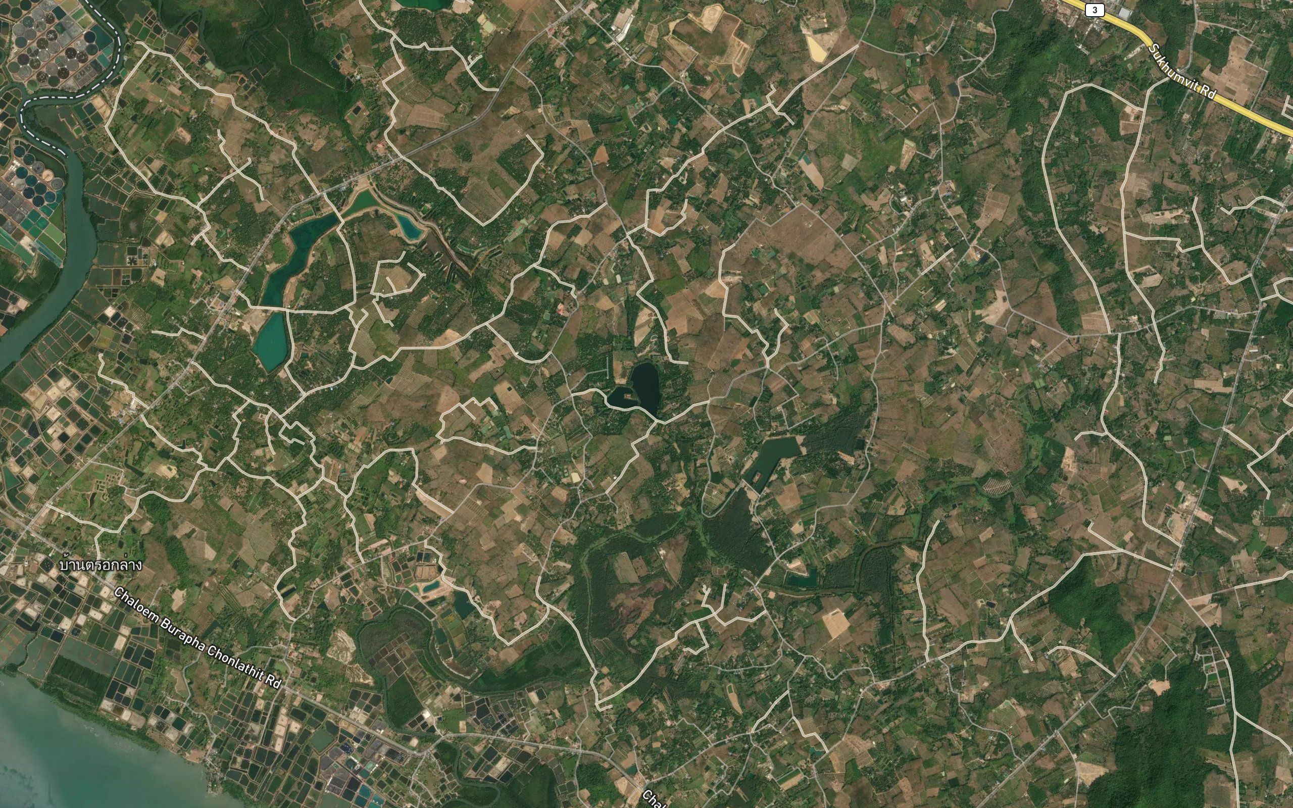 Nong Yai Rit