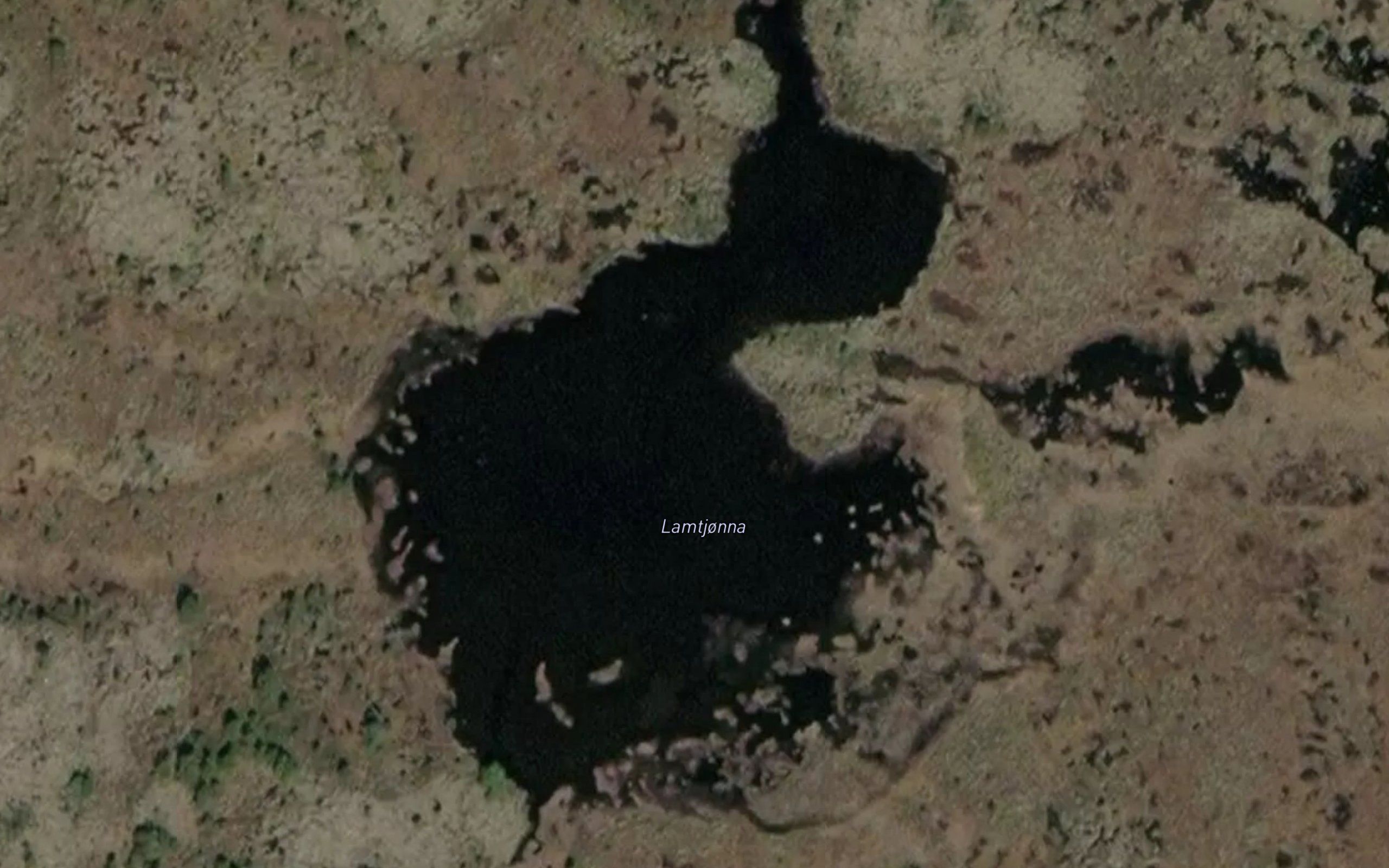 Lamtjonna