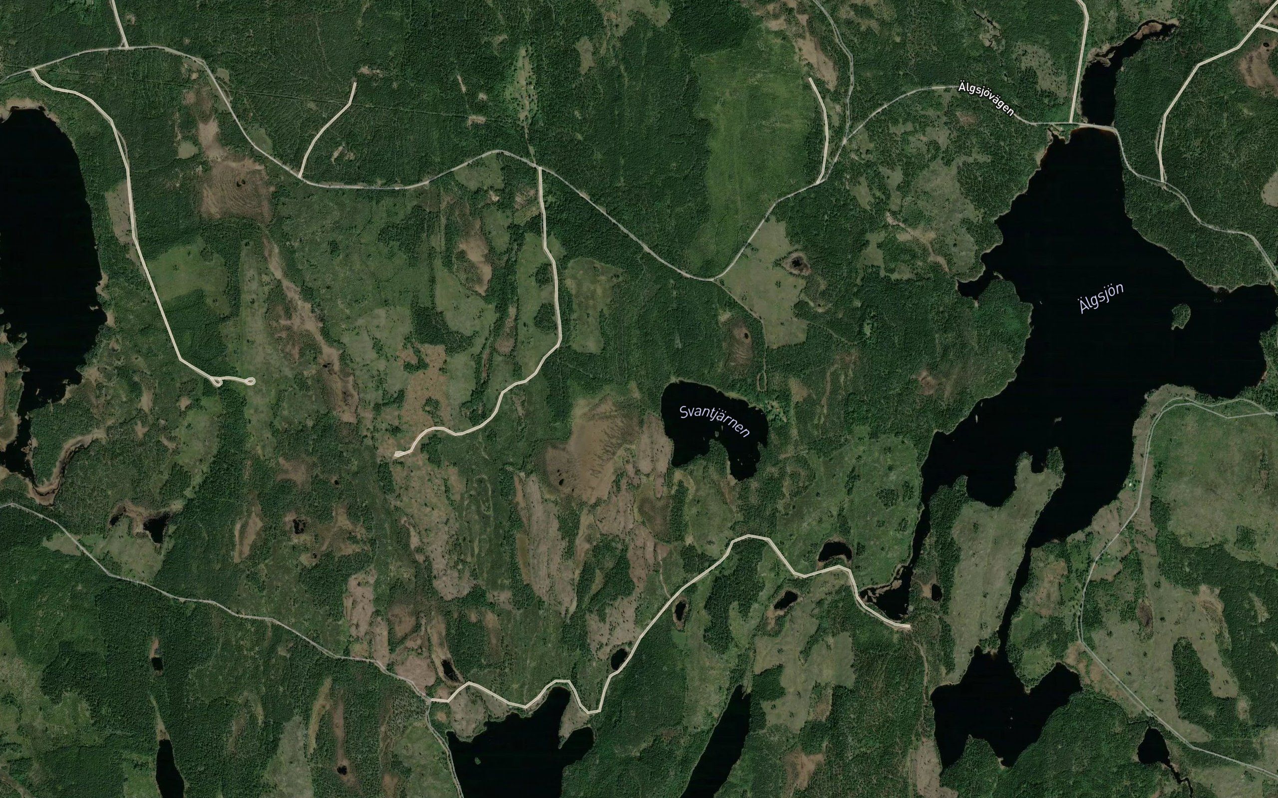 Svantjarn