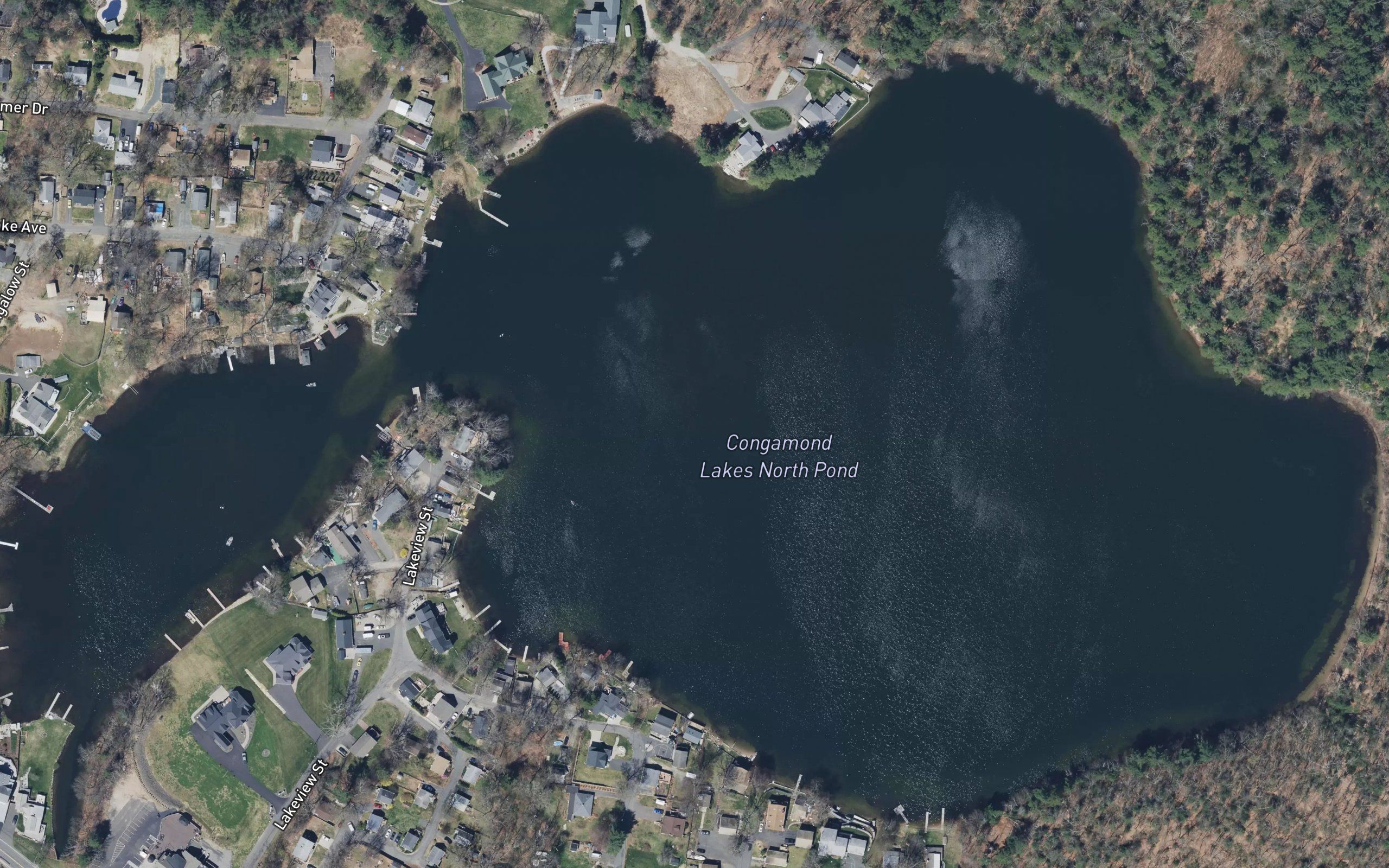 North Pond