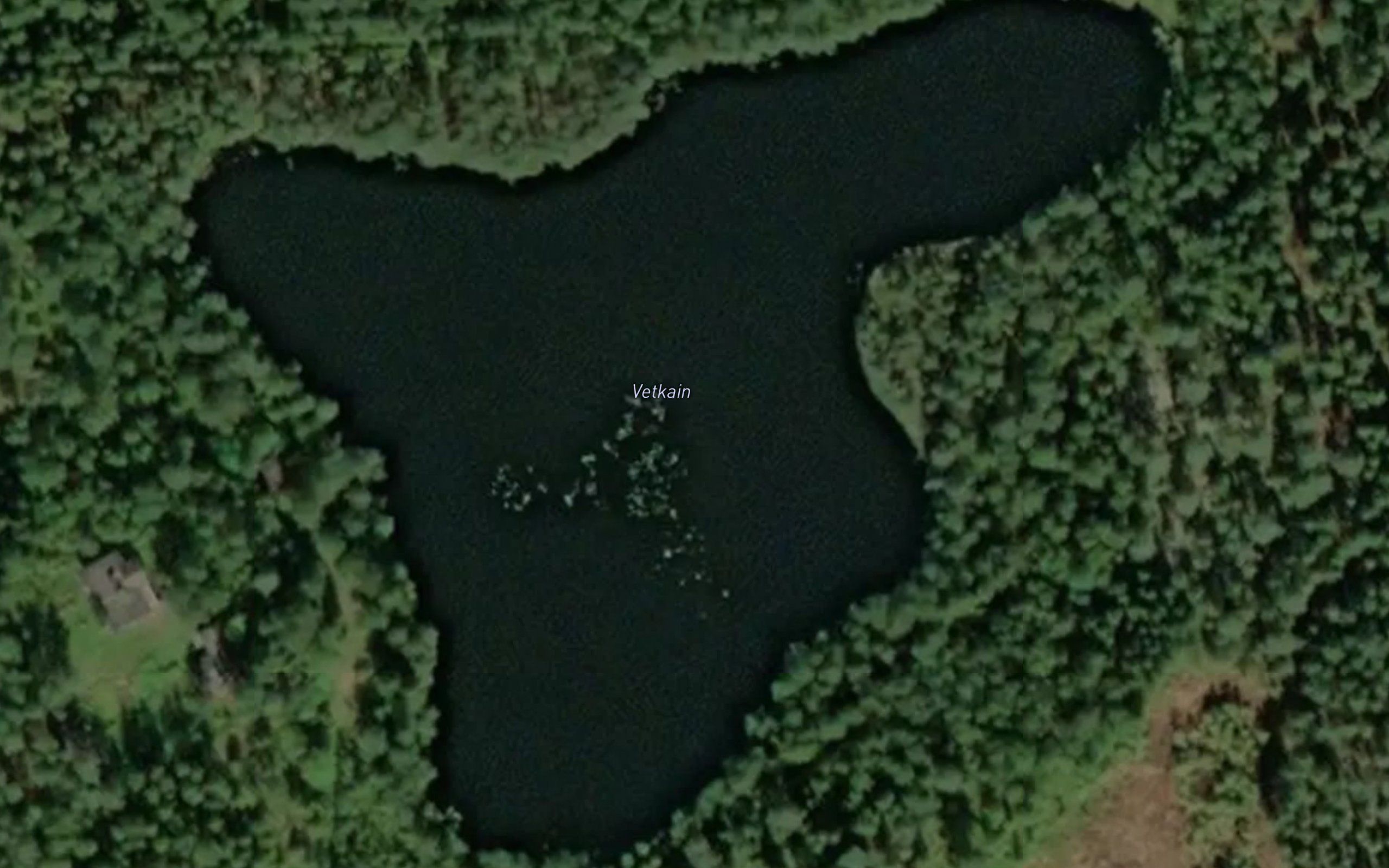 Vetkain