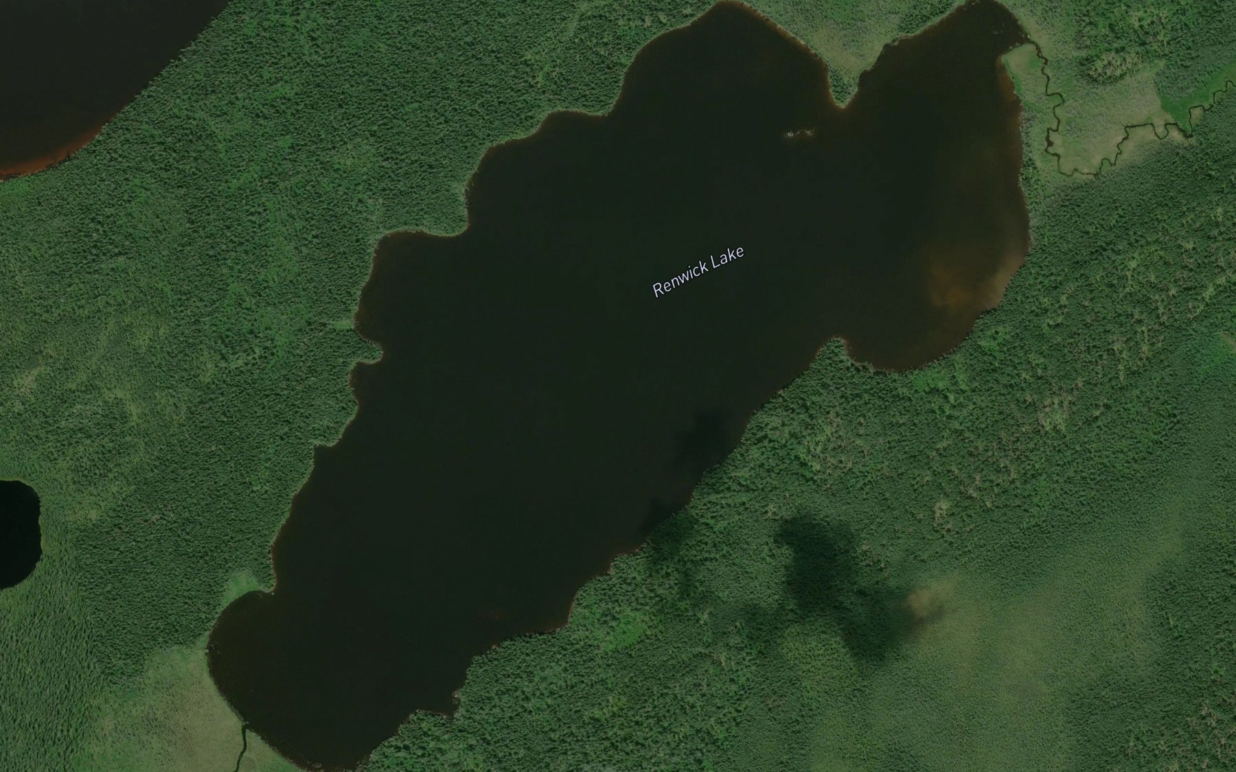 Satellite map of the Renwick Lake