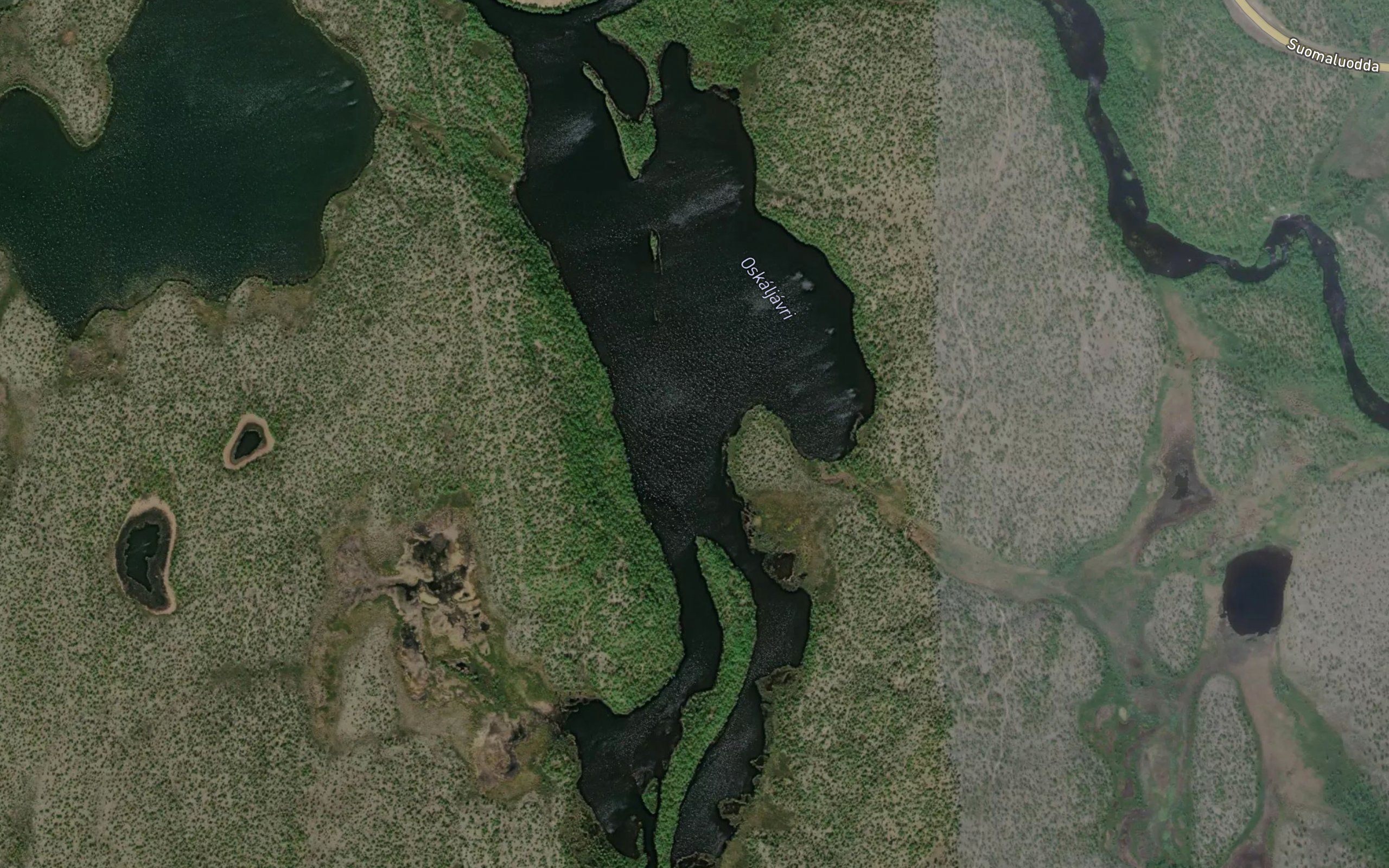Askaljavri