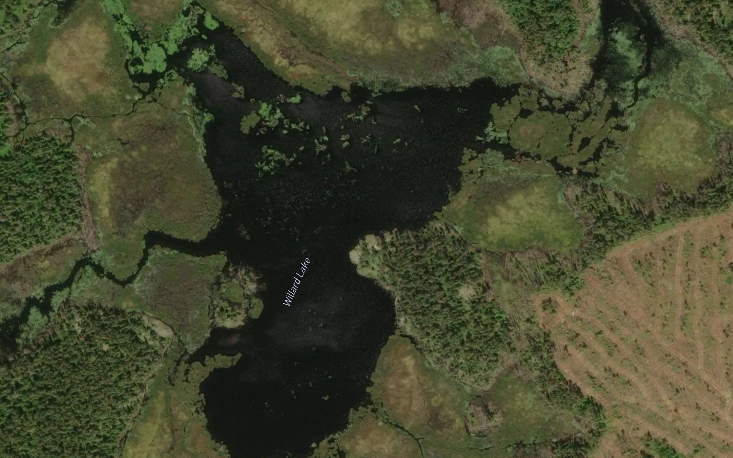 Willard Lake