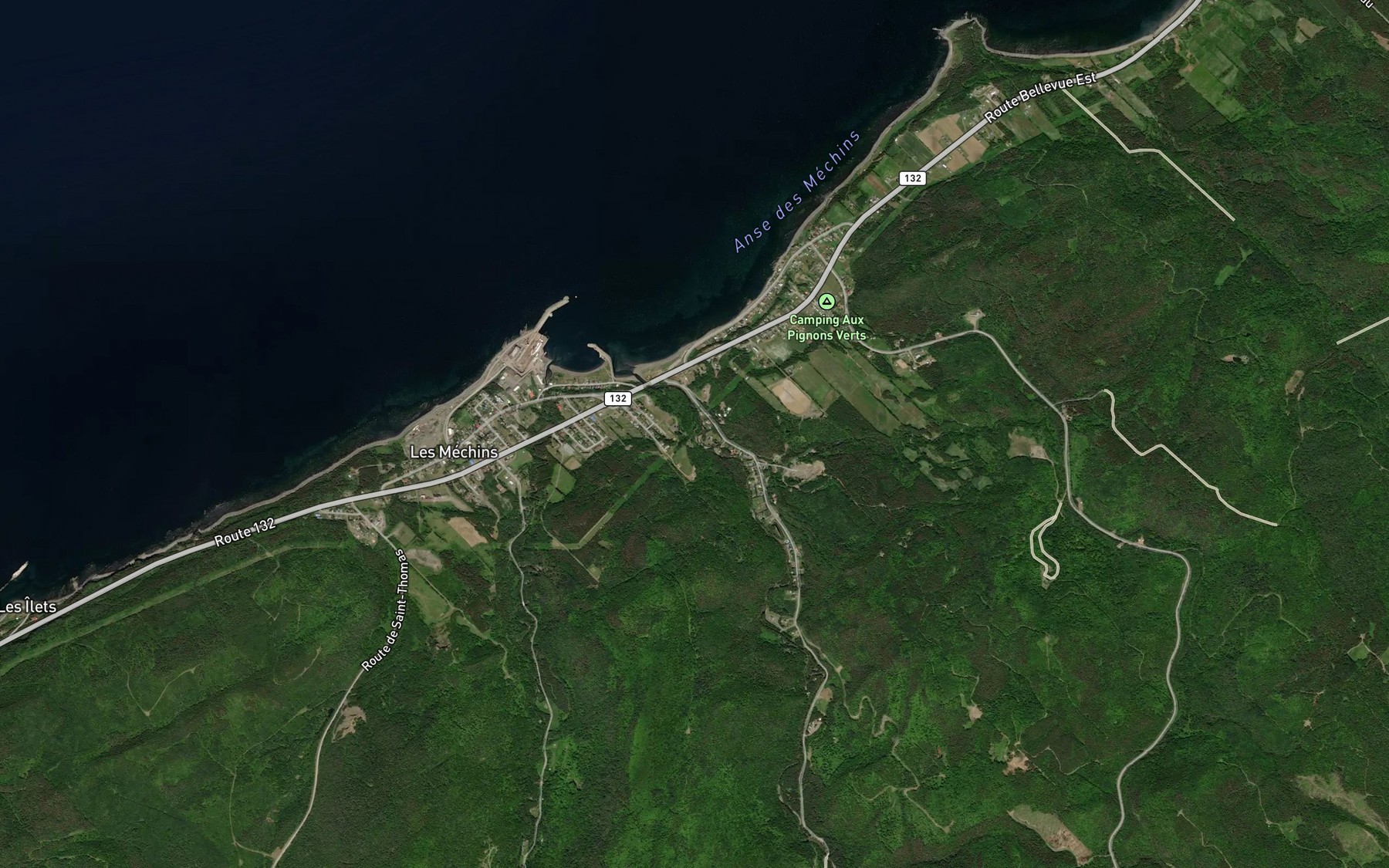 Satellite map of the Le Petit Bras