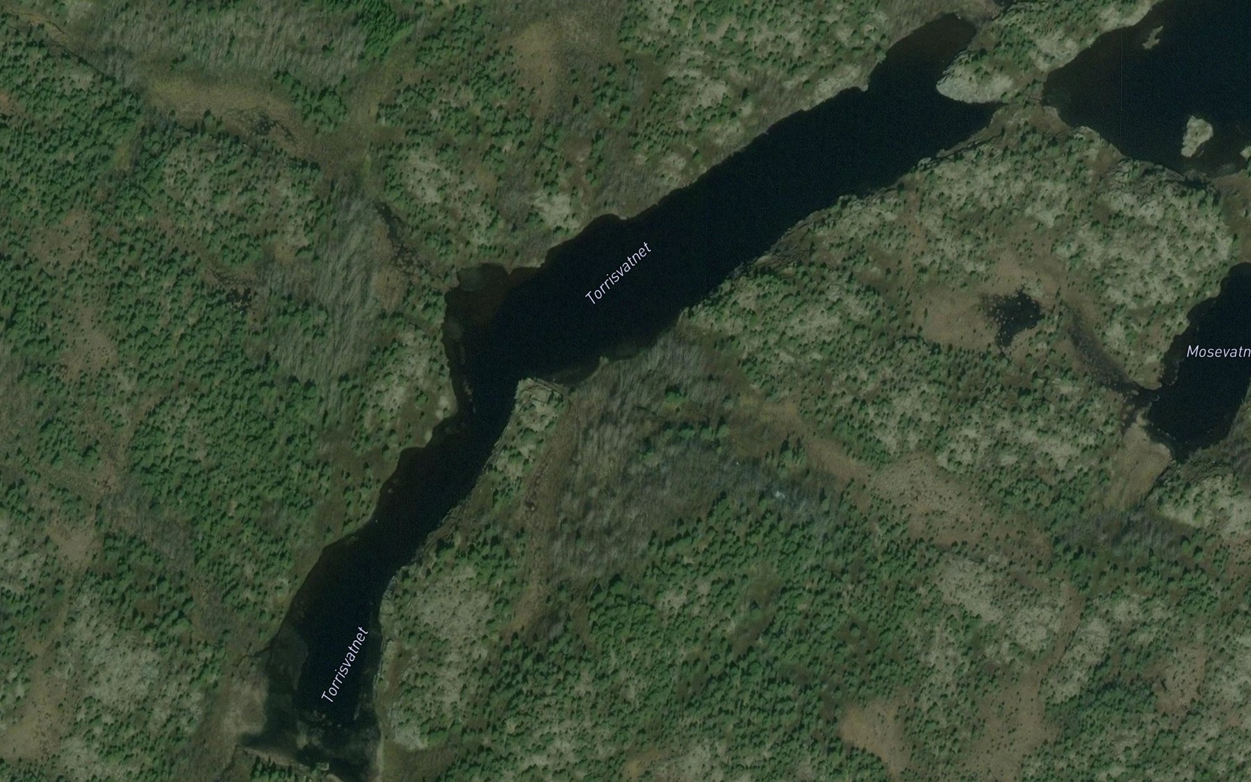 Satellite map of the Torrisvatnet