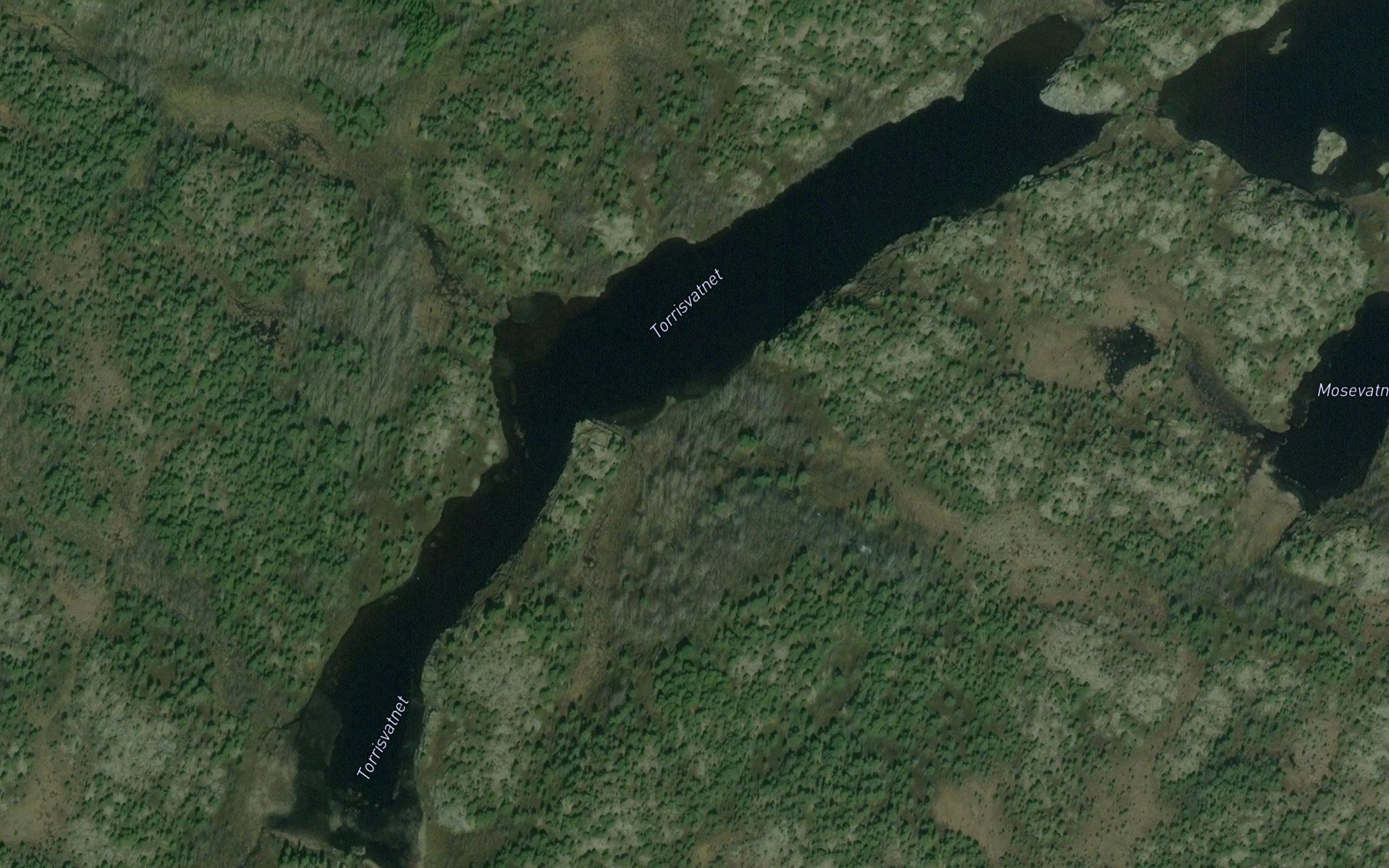 Torrisvatnet