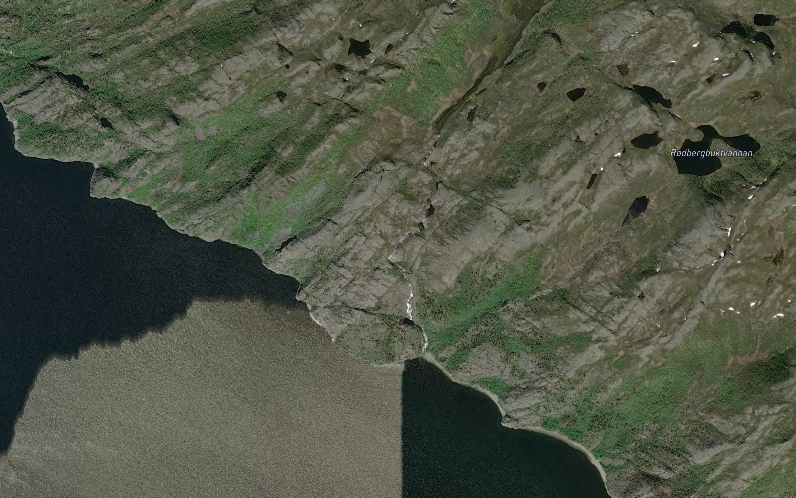 Barsejakka