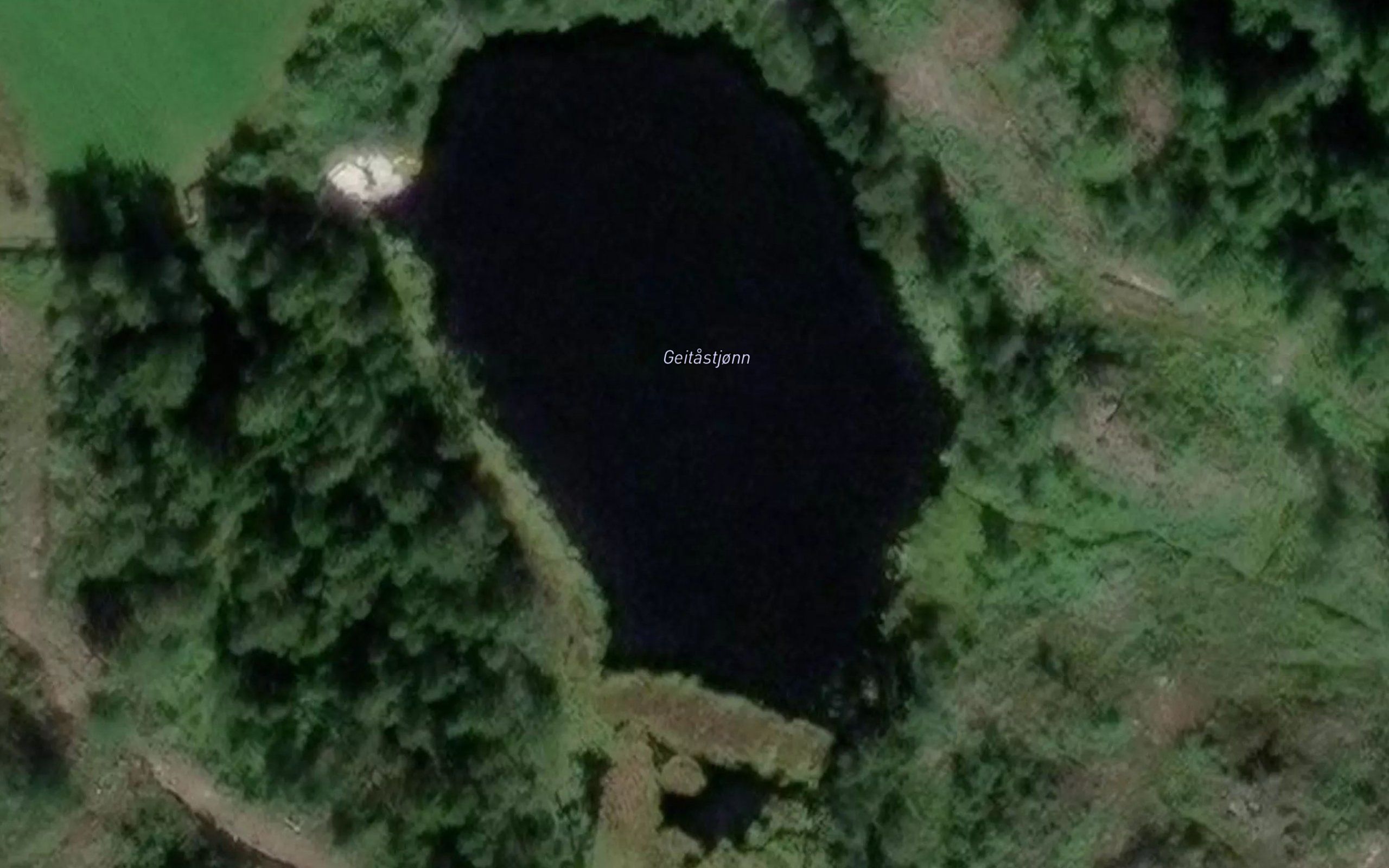Geitastjonn