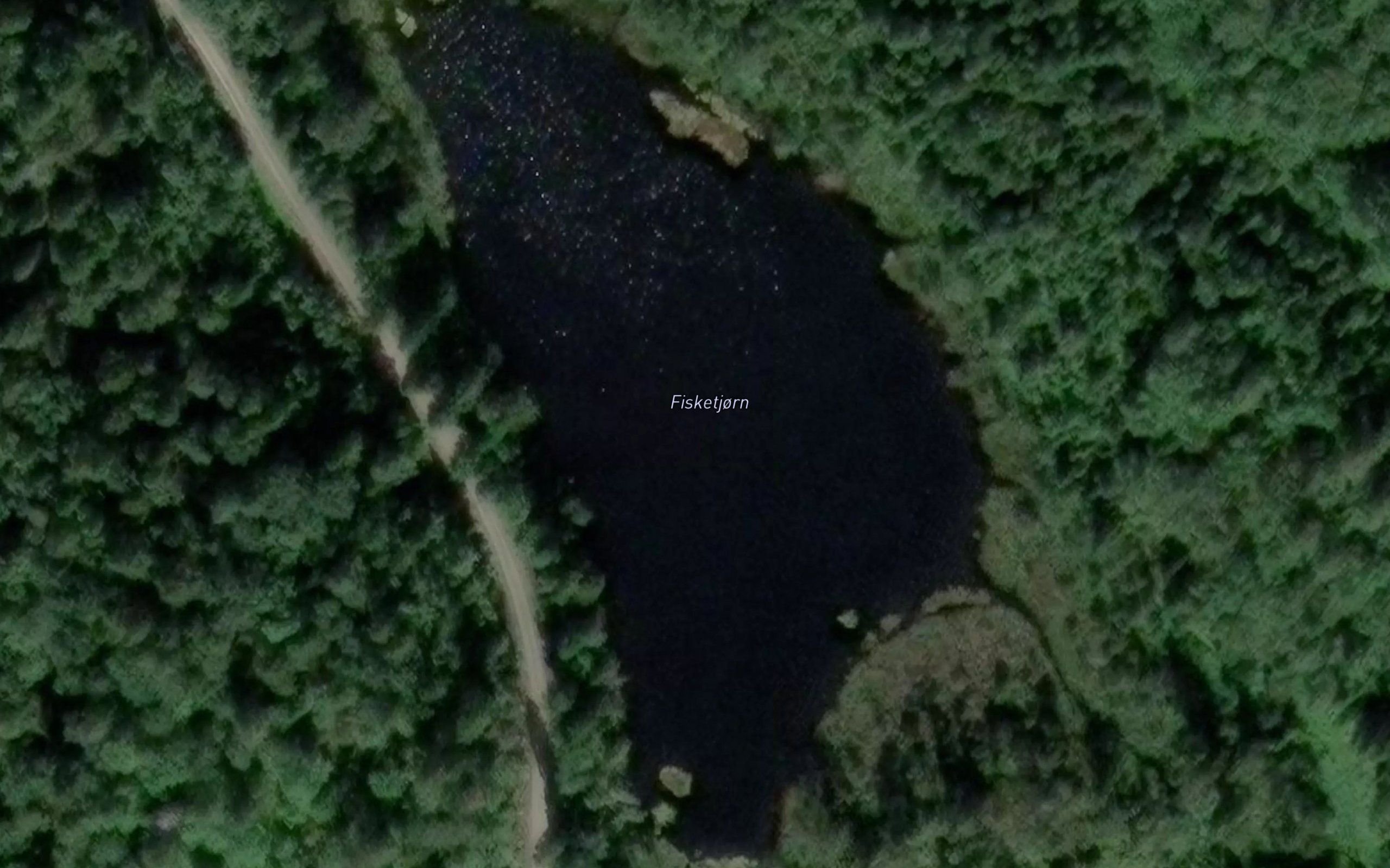Fisketjorn
