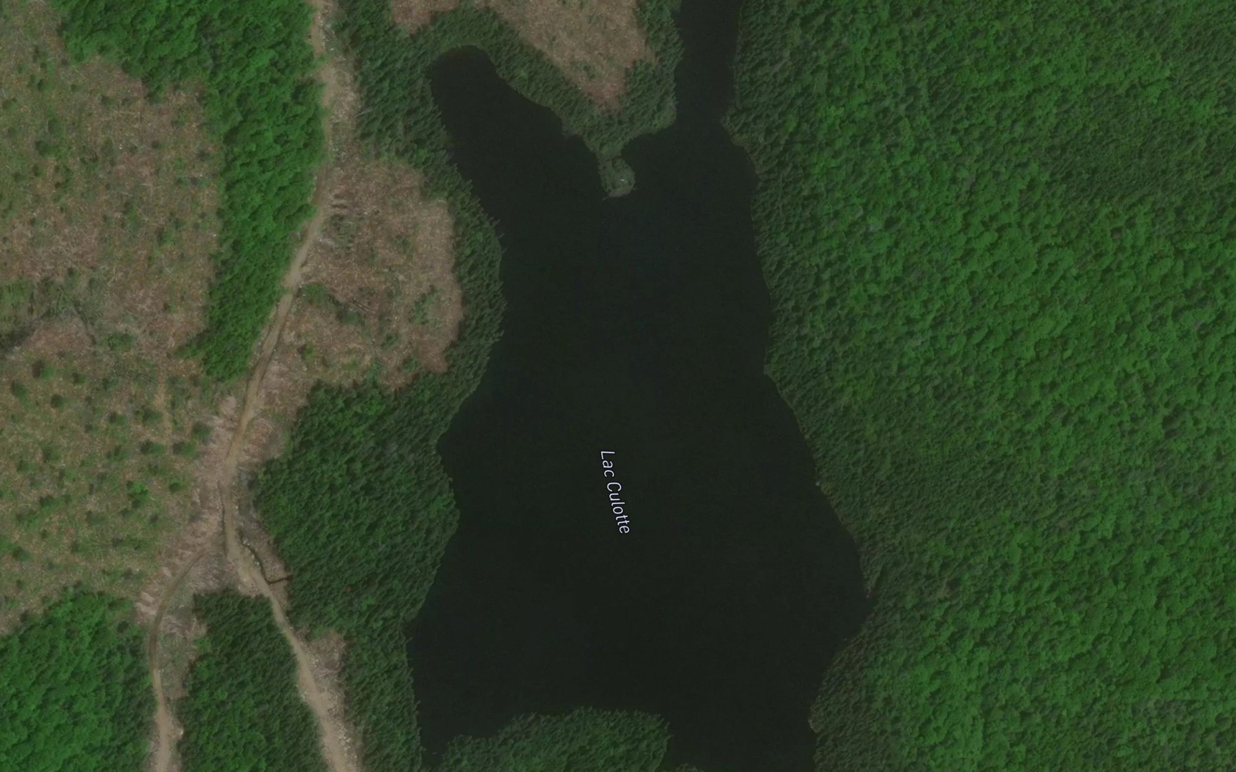 Satellite map of the Lac Culotte