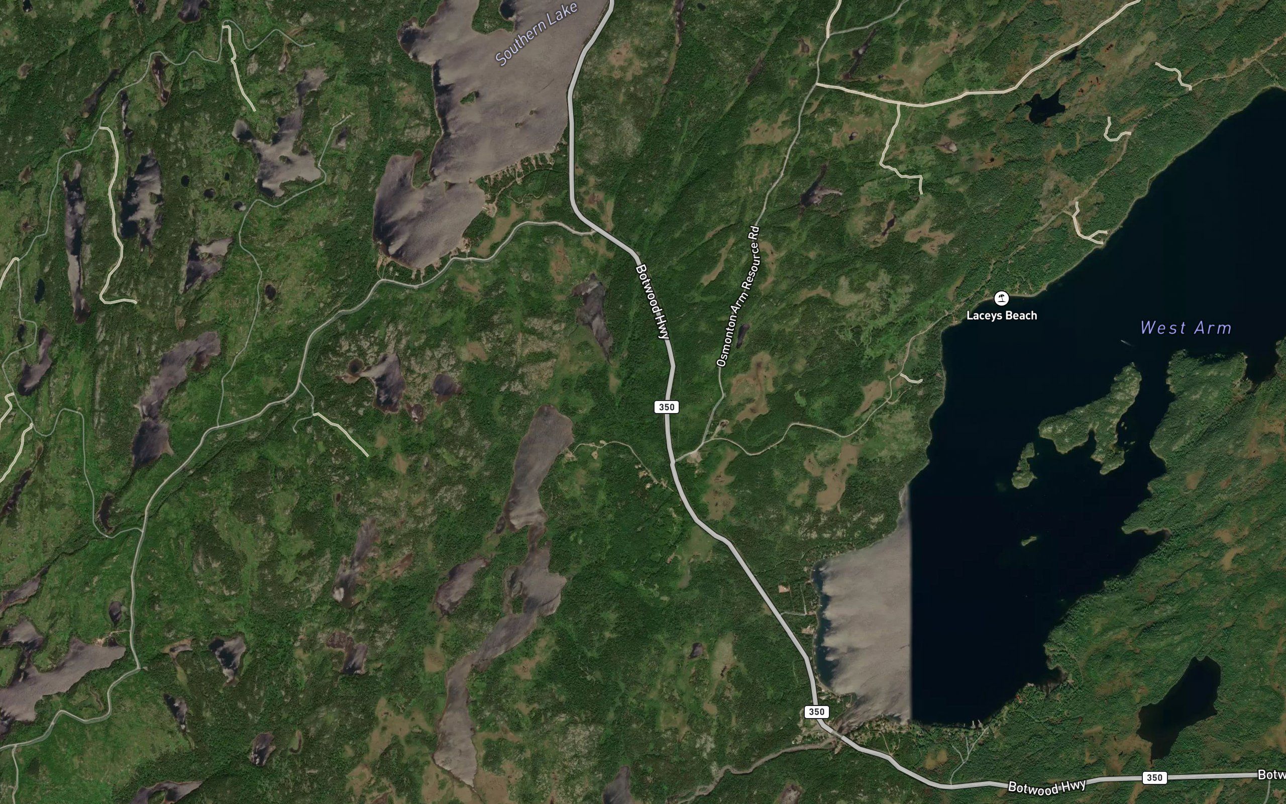 Little Martin Lake