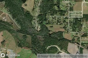 Satellite map of the Rice Branch