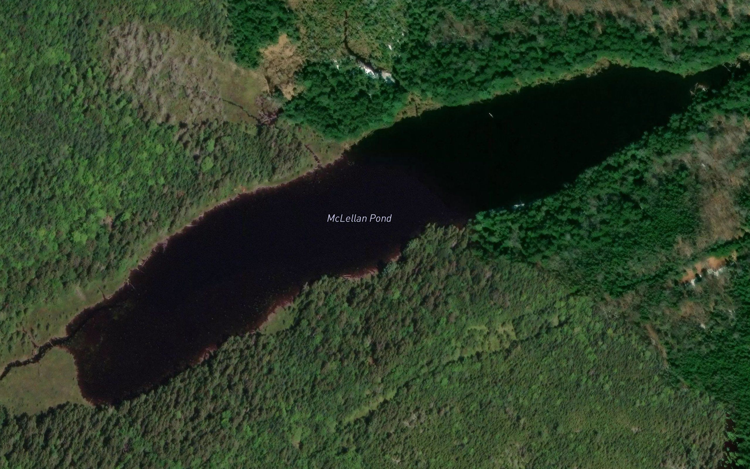 McLellan Pond
