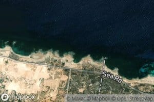 Marsa Surman