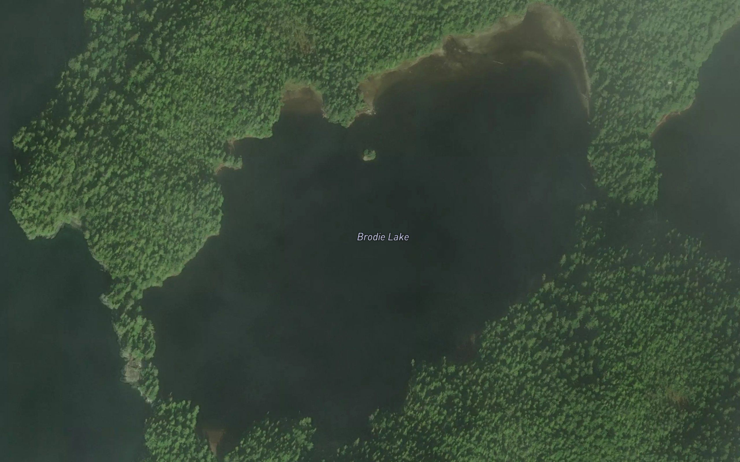 Brodie Lake