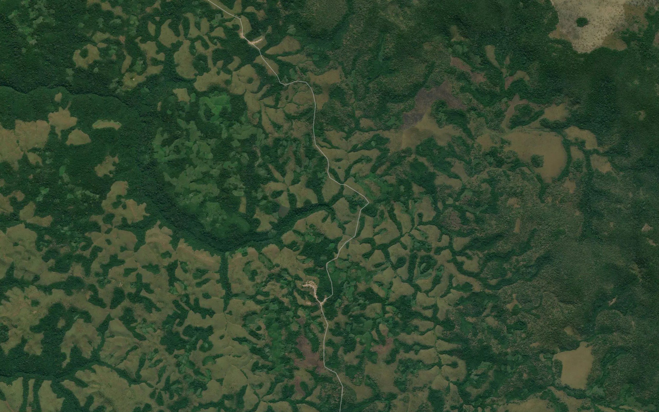 Quimola