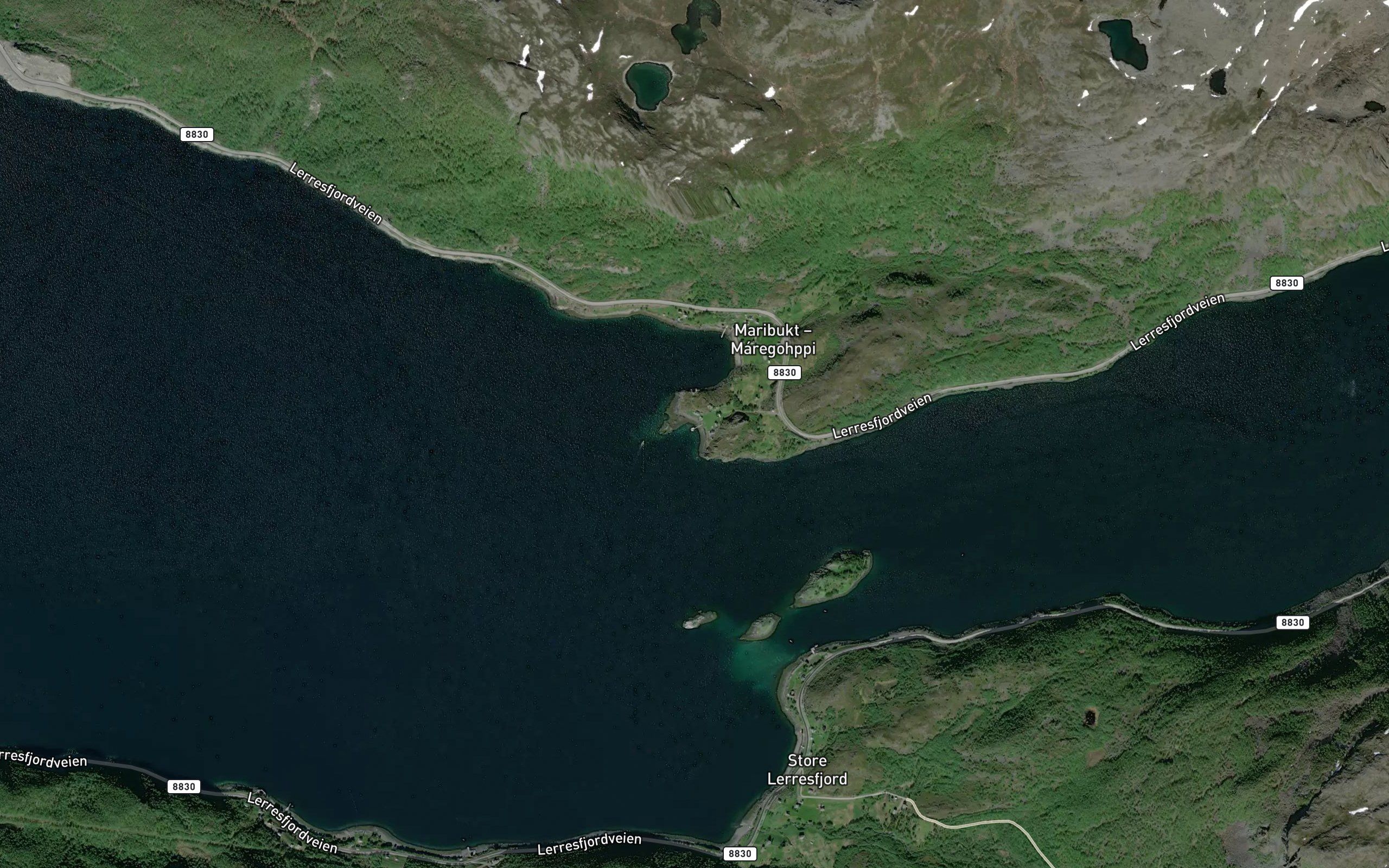 Lassagohppi