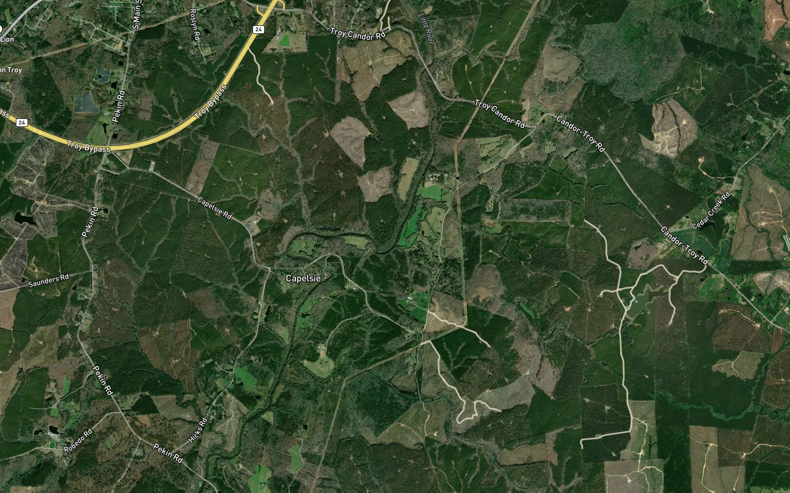 Half Mile Branch