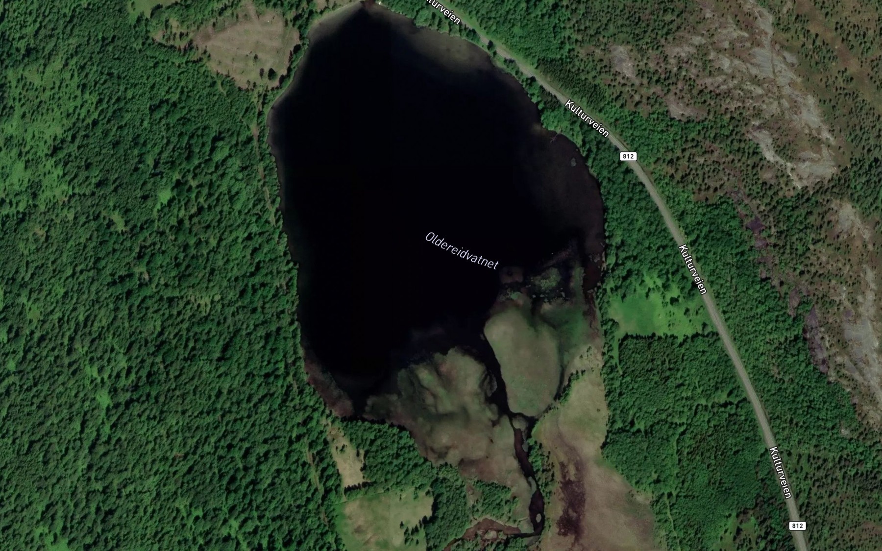 Satellite map of the Oldereidvatnet