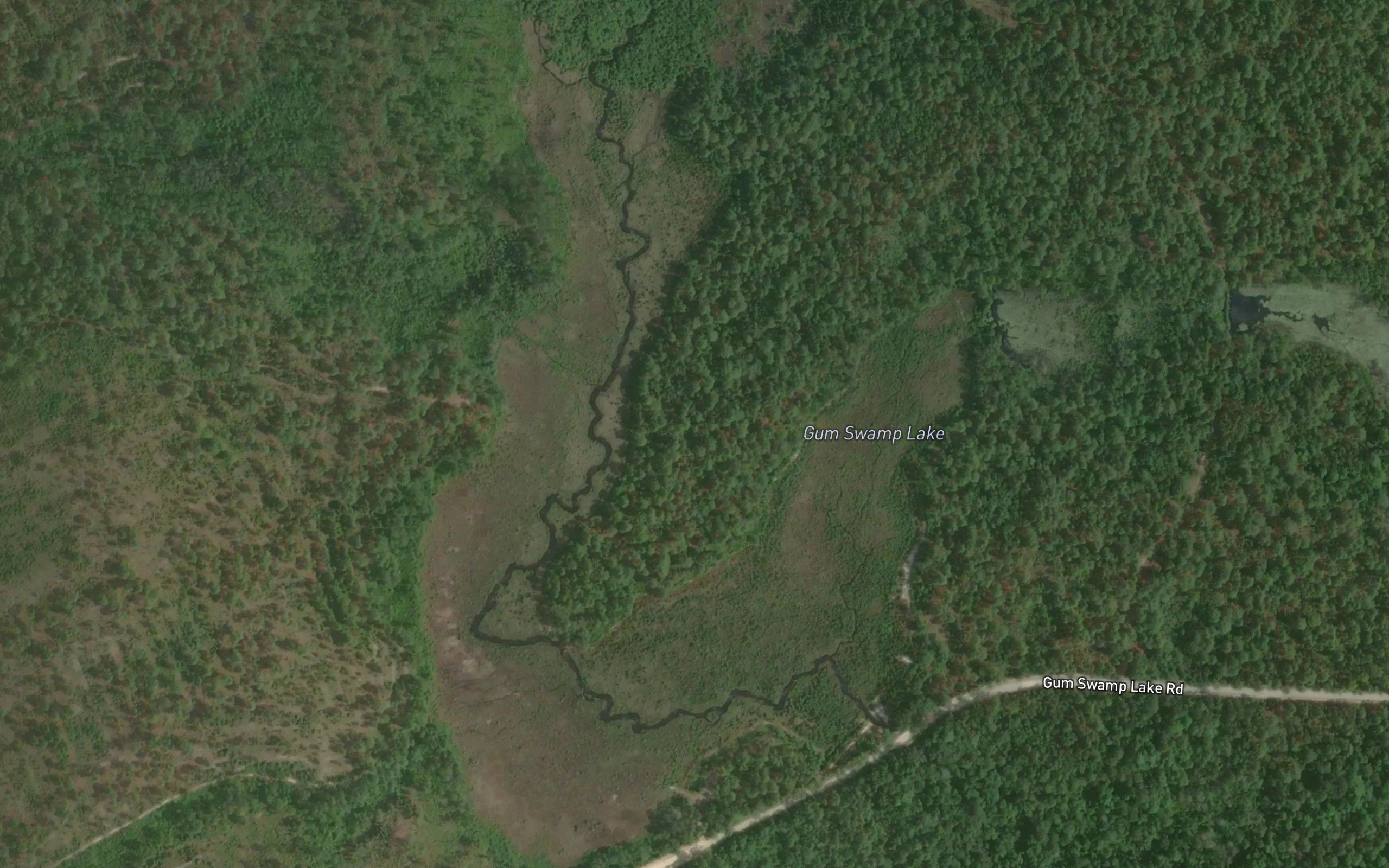Gum Swamp Lake