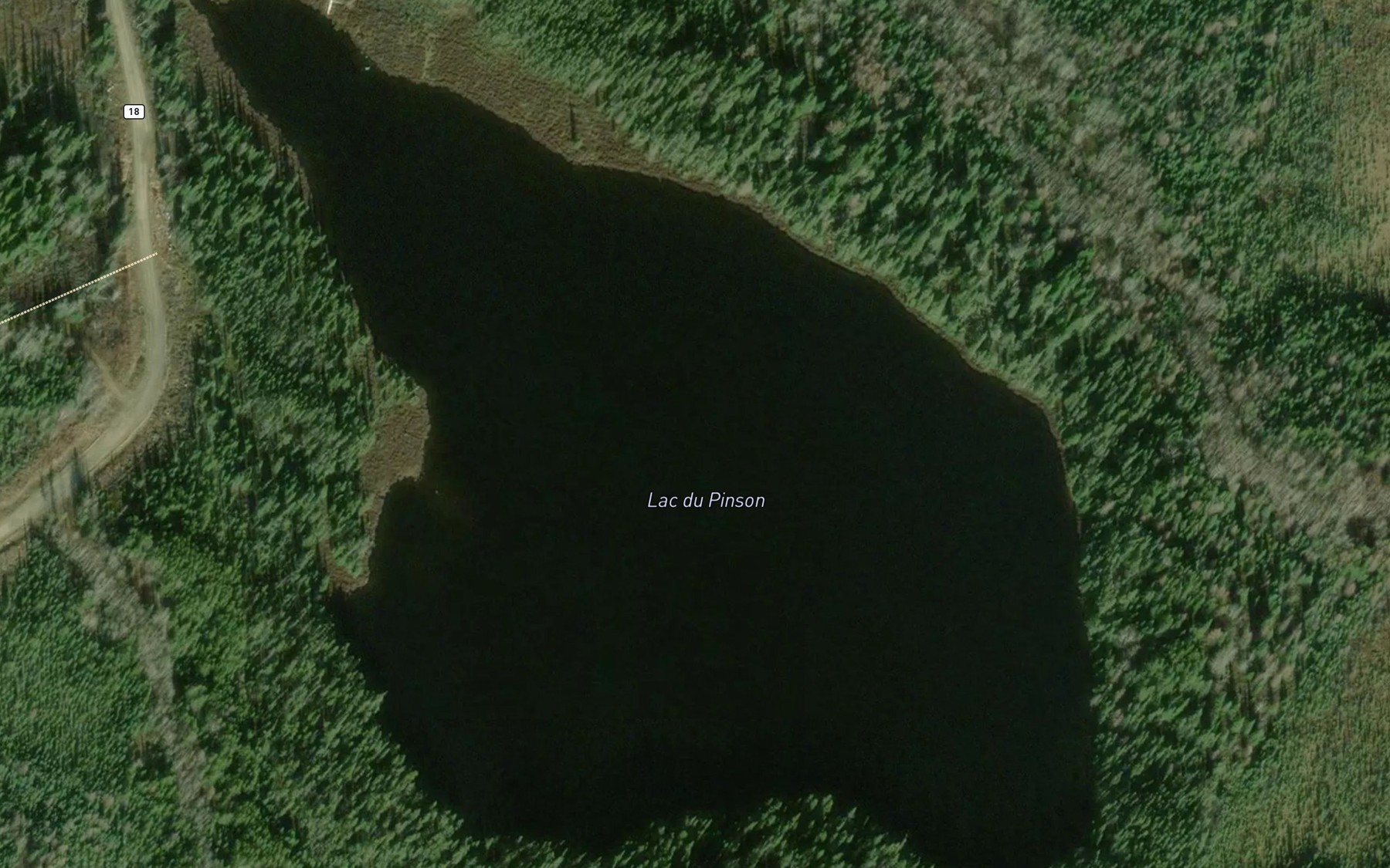 Satellite map of the Lac du Pinson