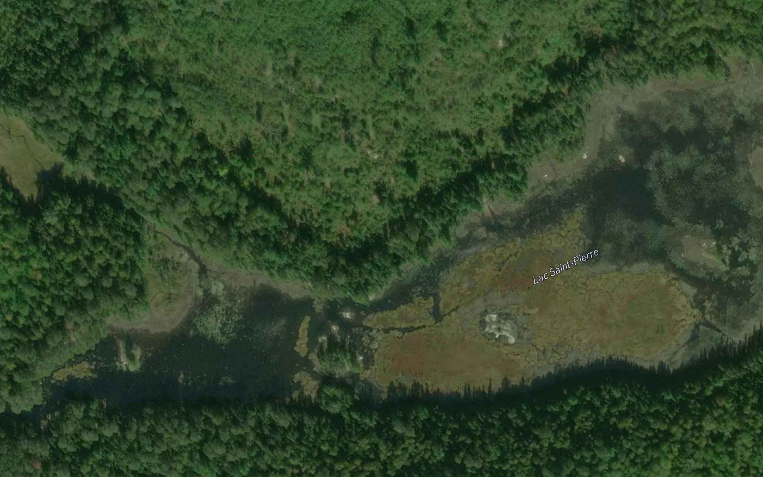 Lac Saint-Pierre