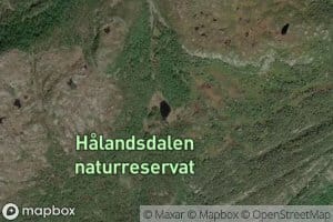 Karidalstjorna