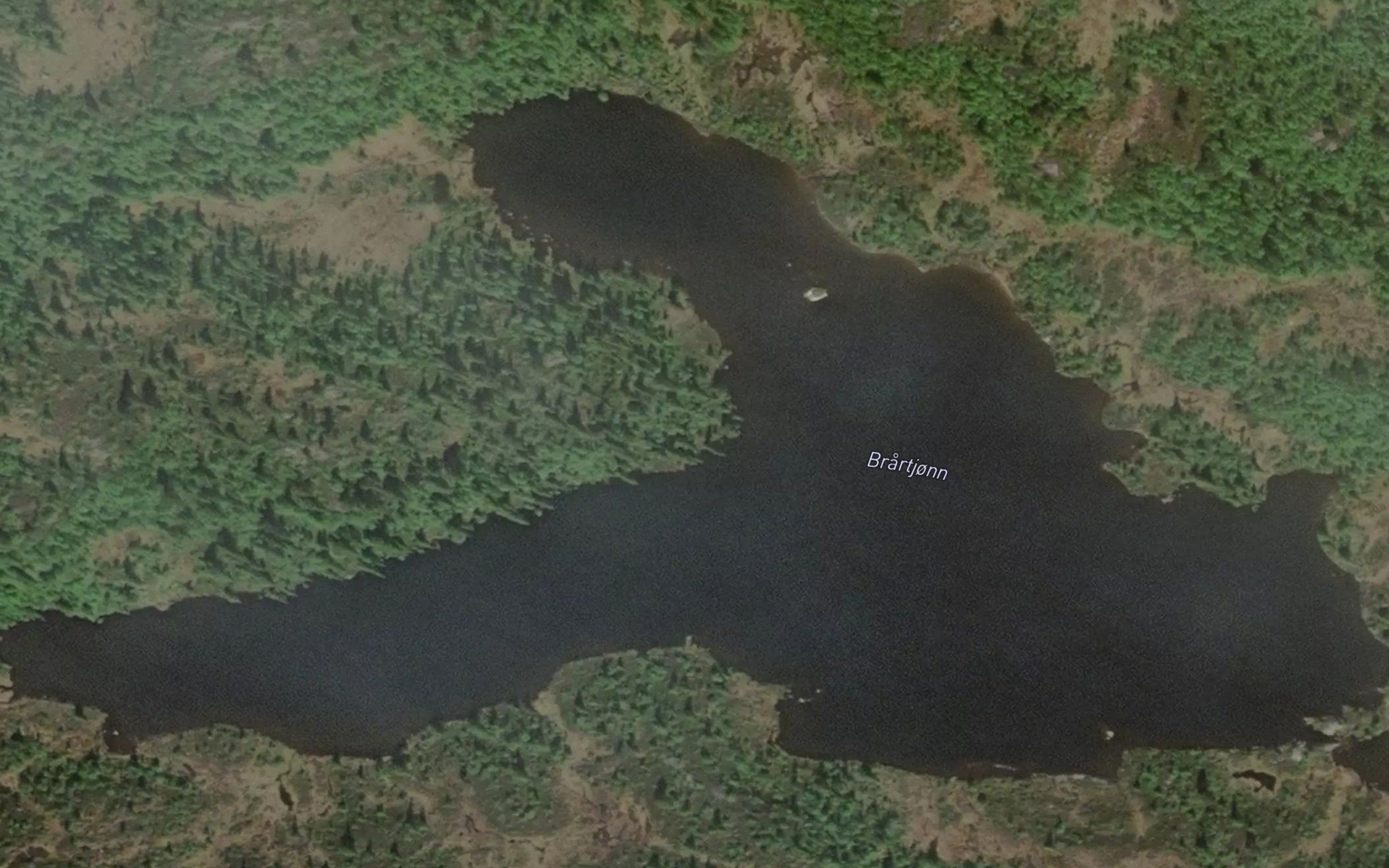 Brartjonn
