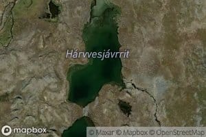 Harvesjavrit