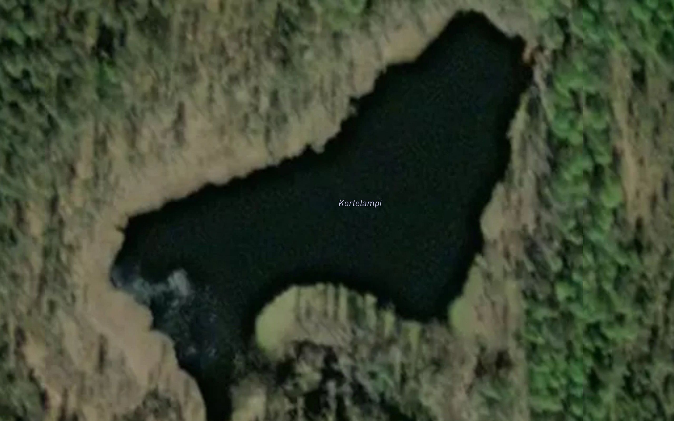 Kortelampi