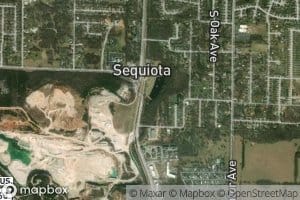 Sequiota Spring Branch