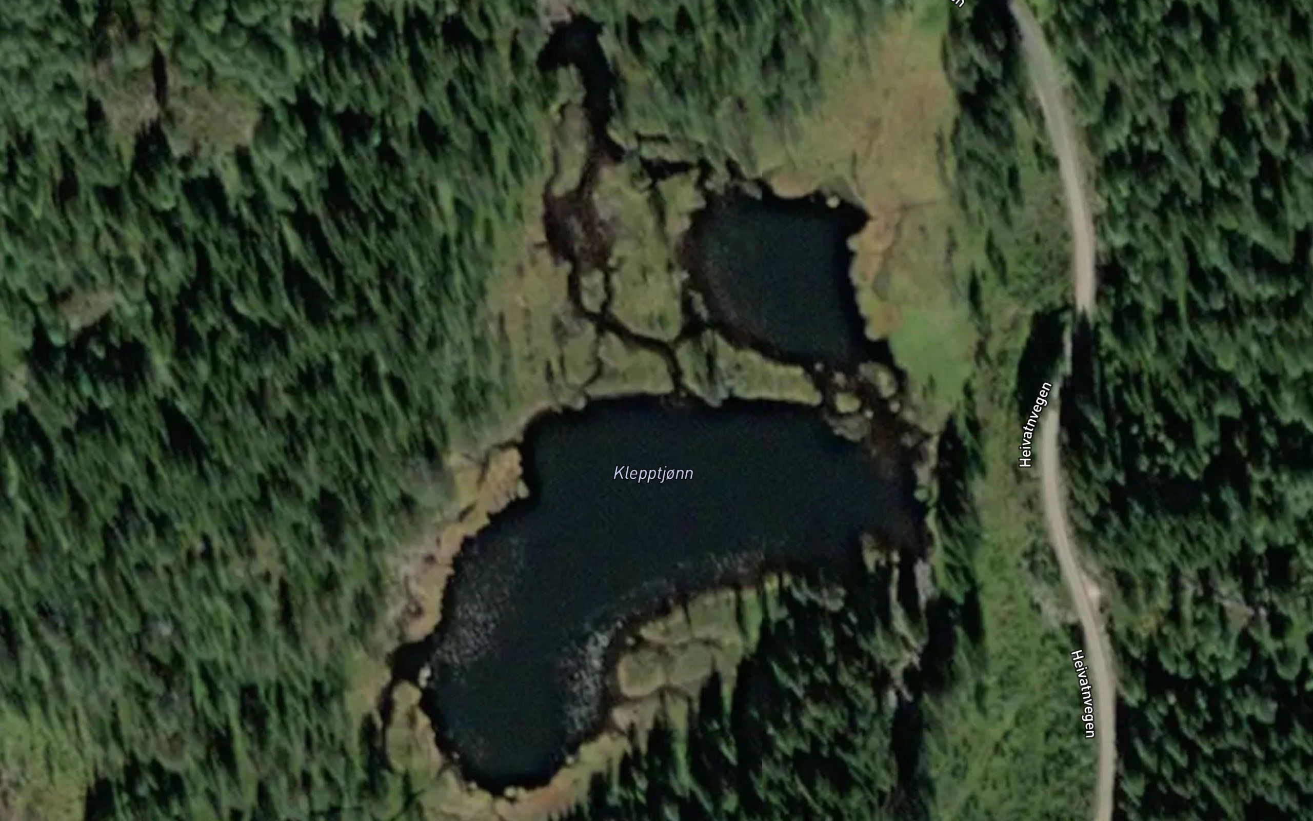 Klepptjorn