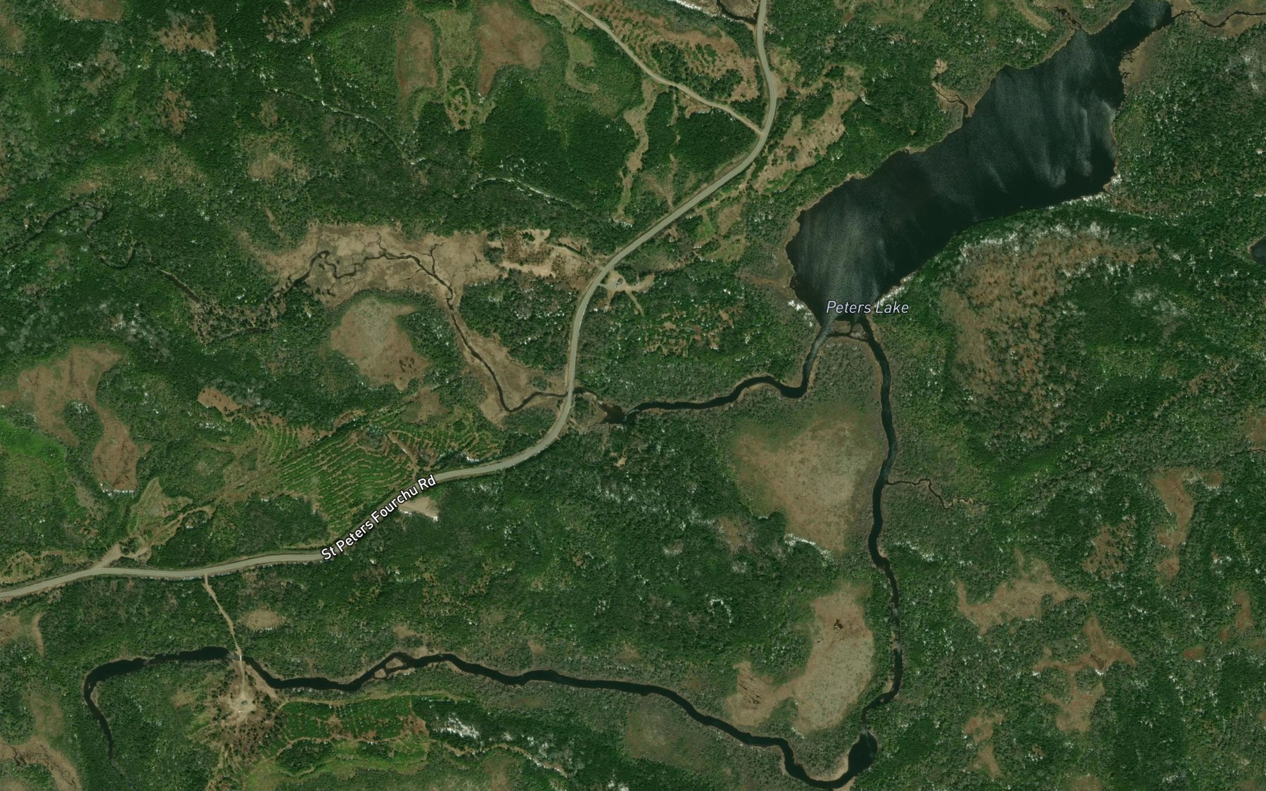 Satellite map of the Peters Lake