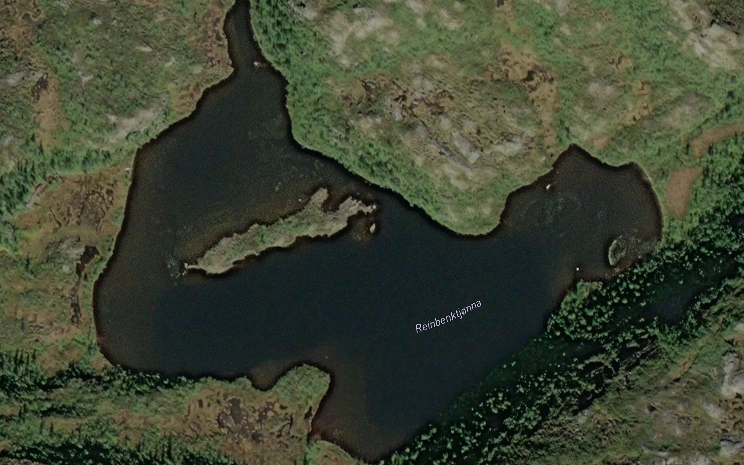 Reinbenktjorna