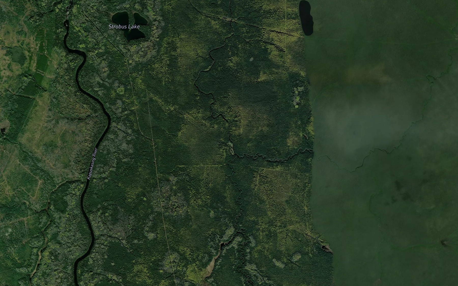 Satellite map of the Buchan Creek