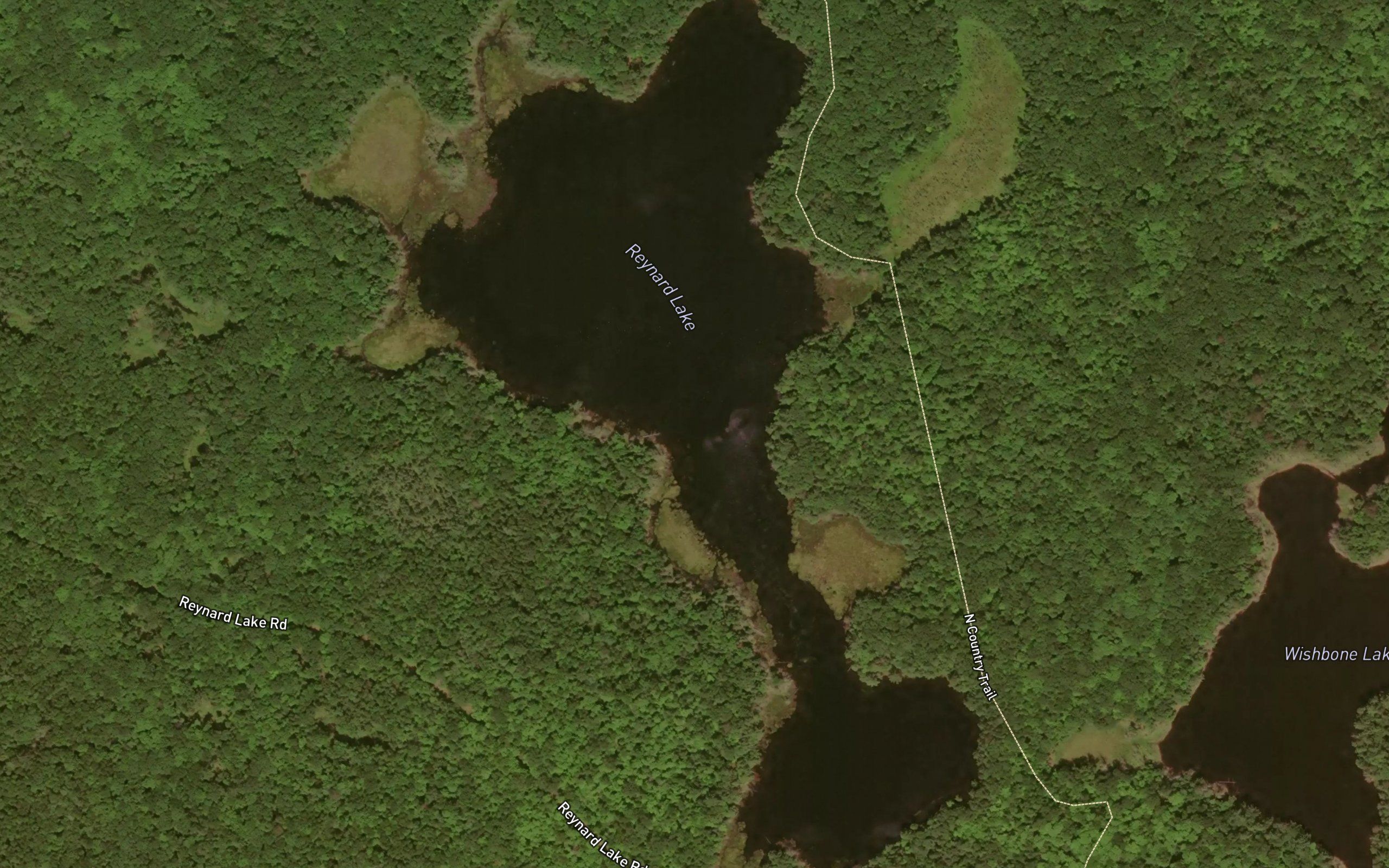 Reynard Lake