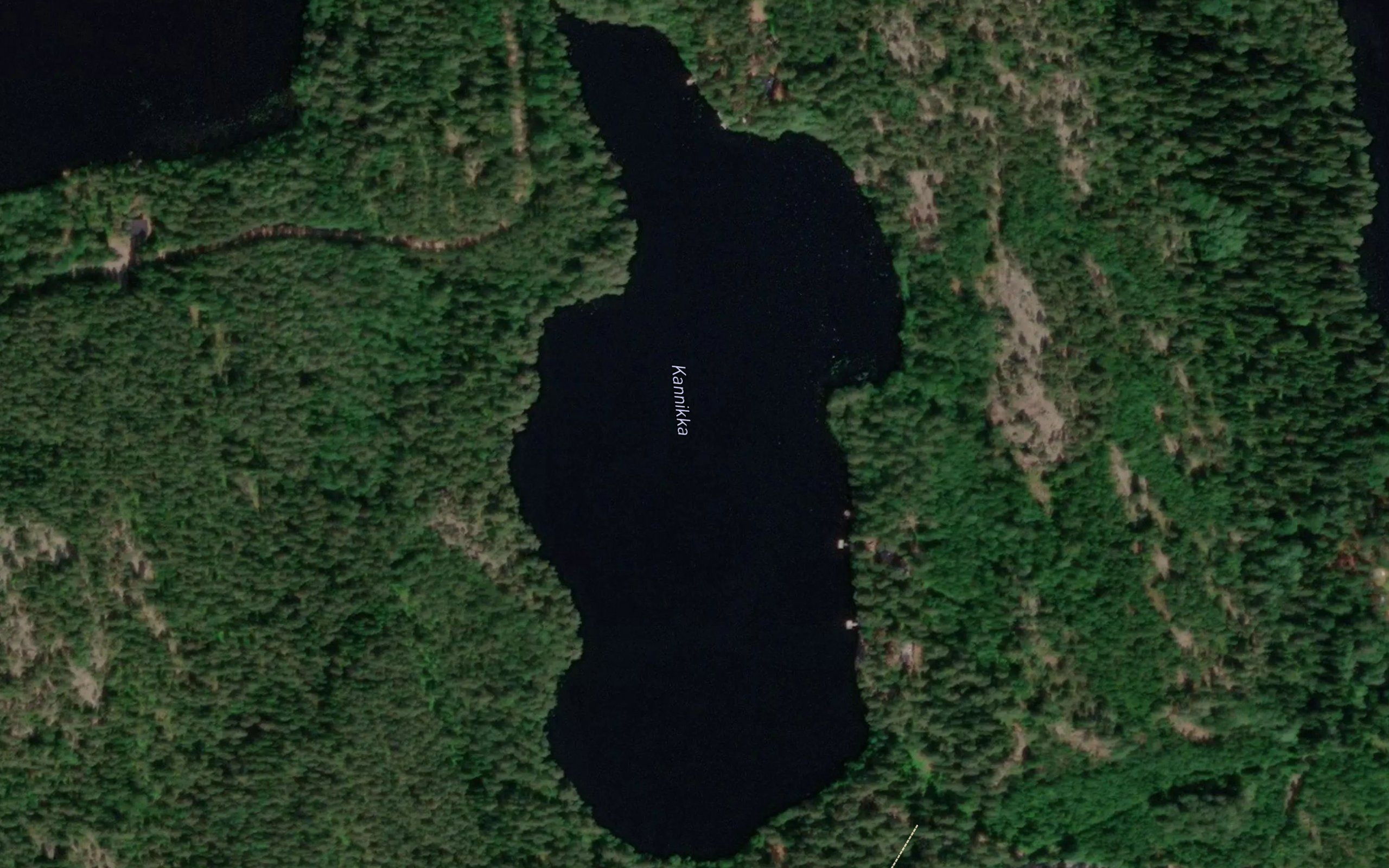 Kannikka