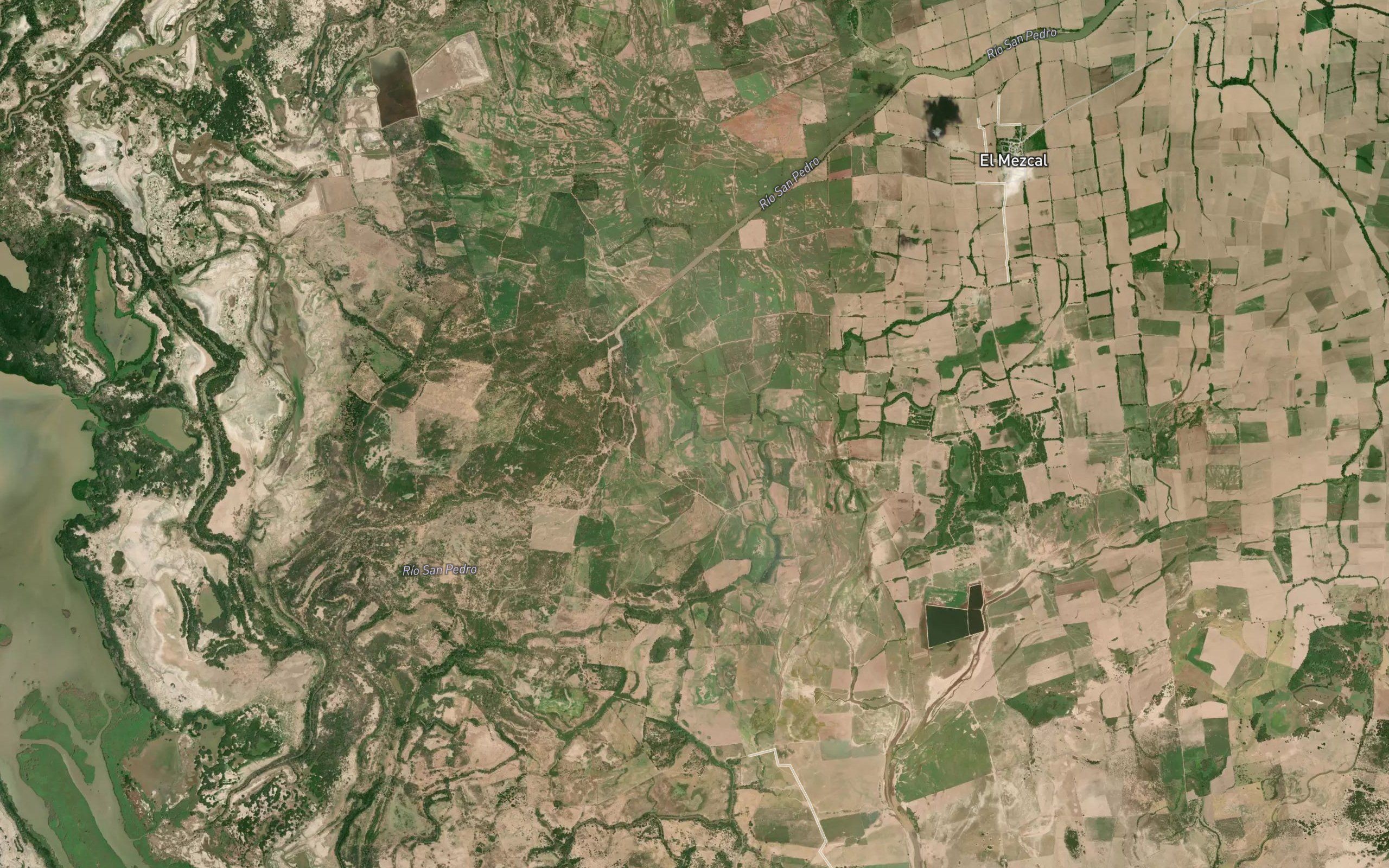 Estero el Mezcal