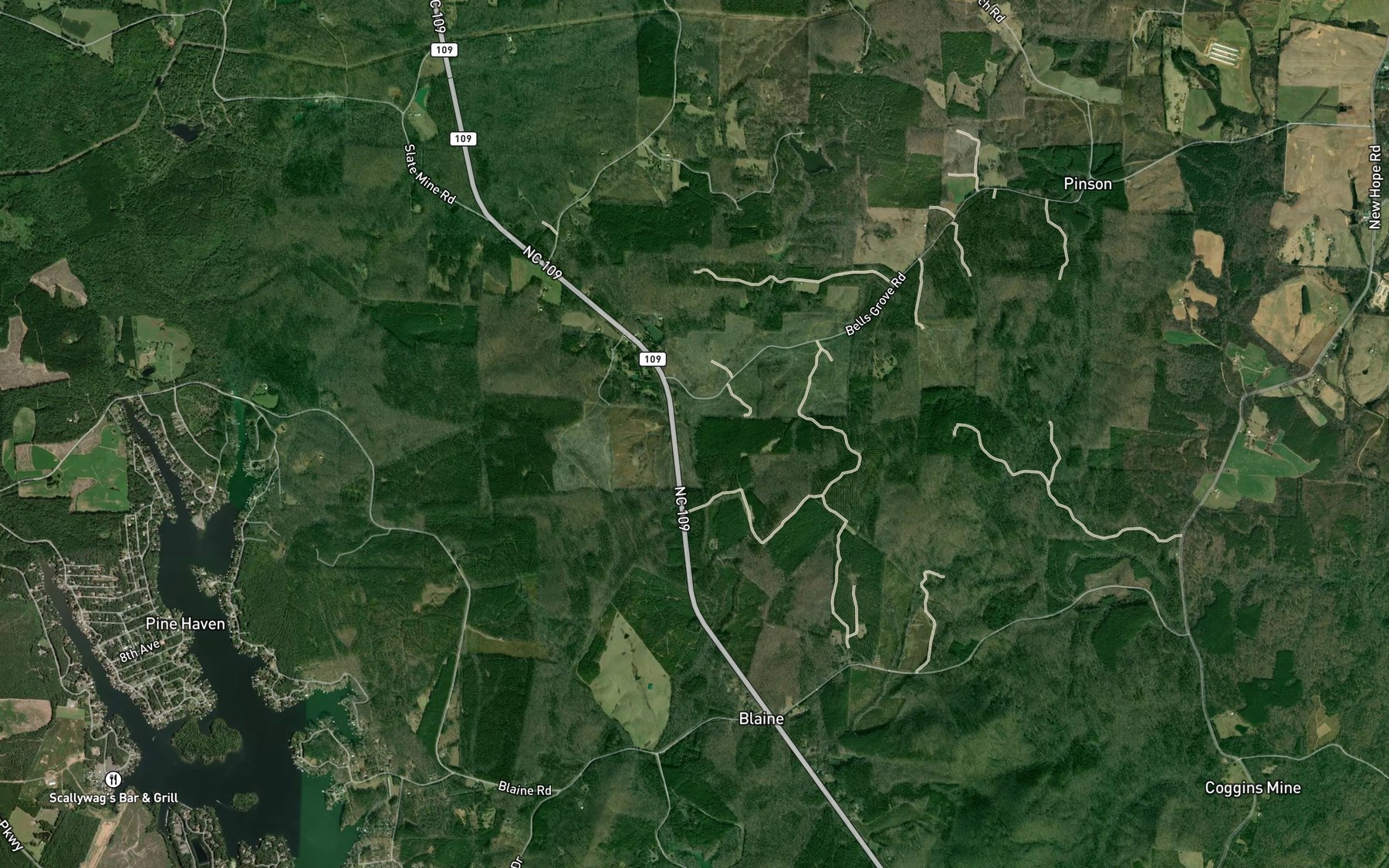 Satellite map of the Spring Branch