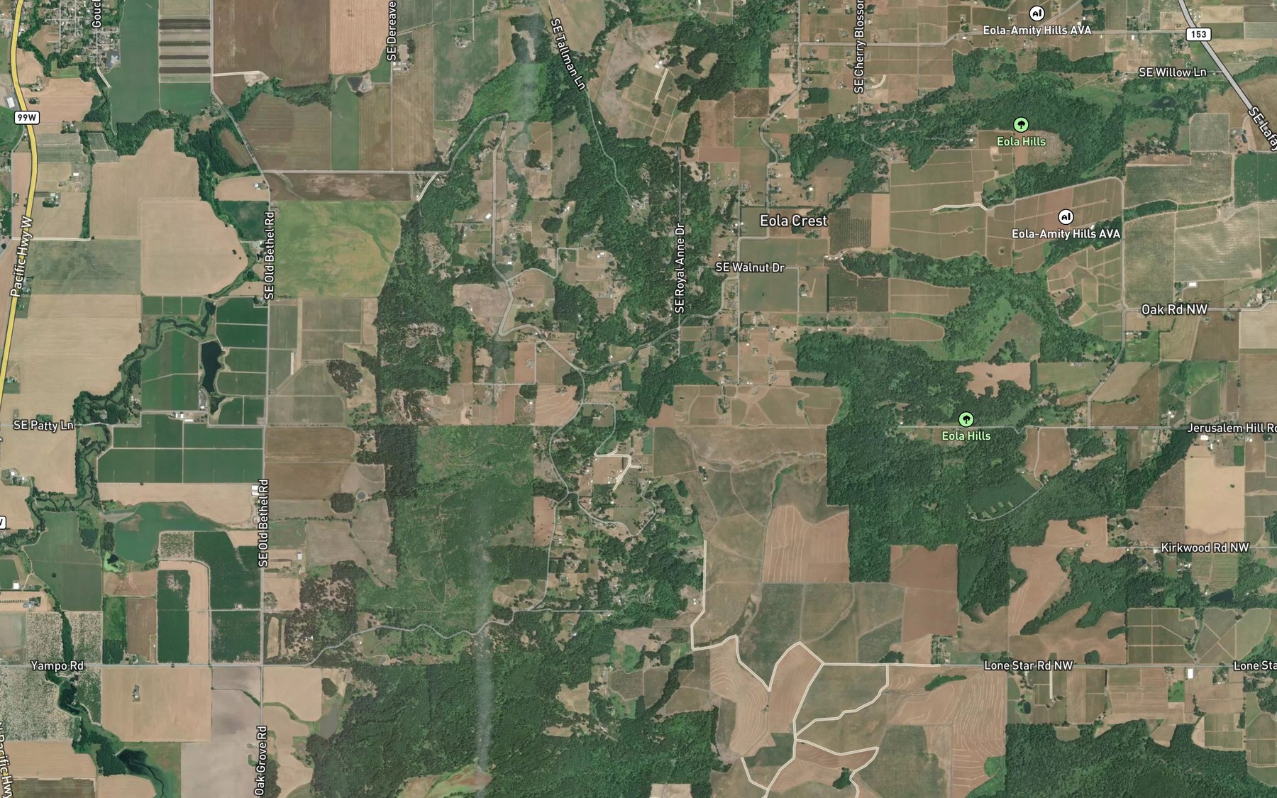 Satellite map of the Larson Spring