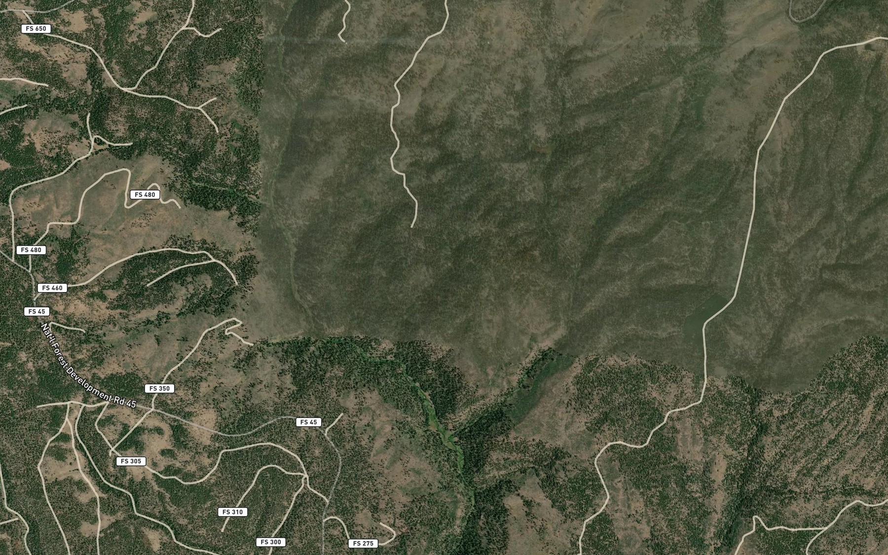Satellite map of the Foss Spring