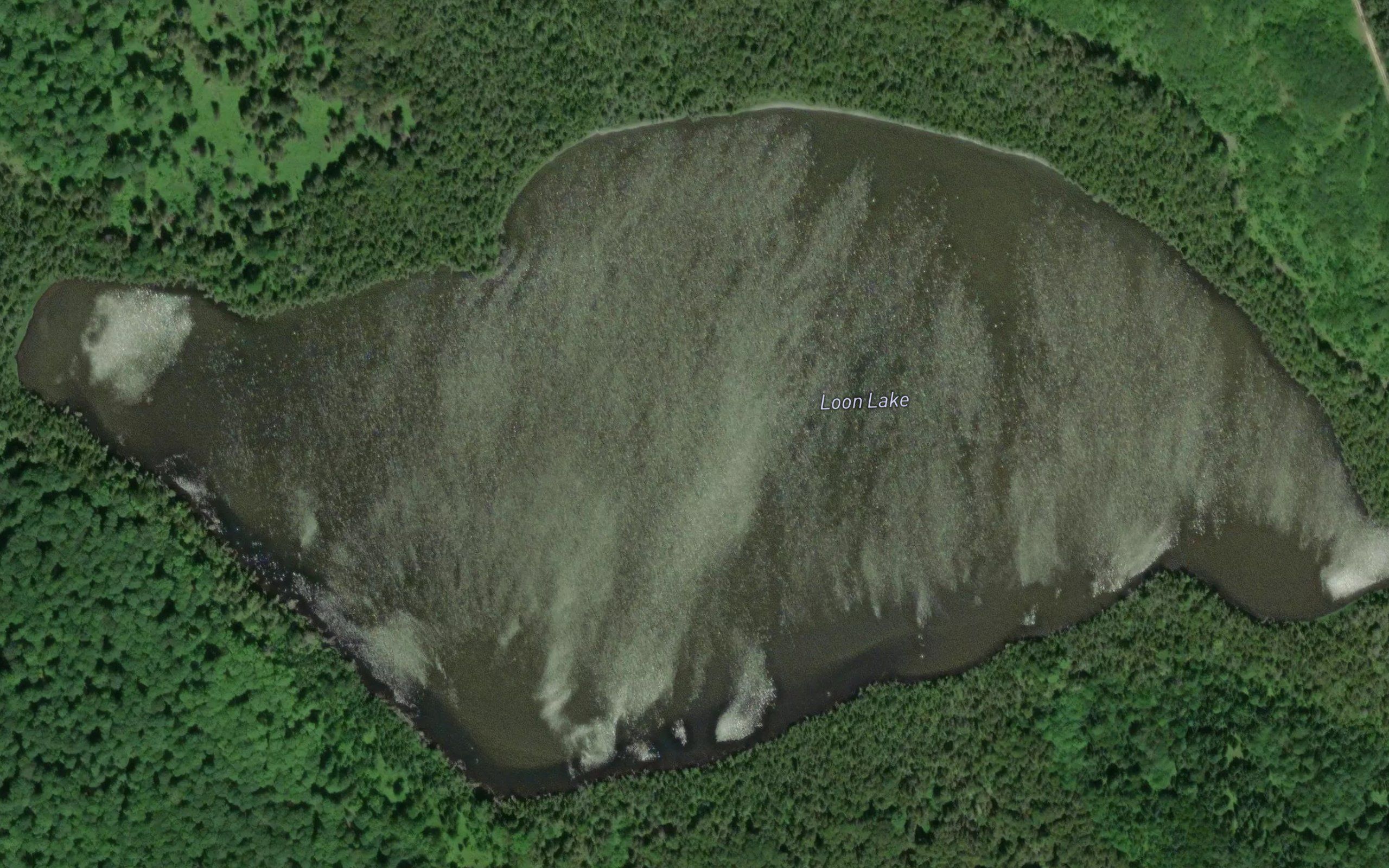 Loon Lake