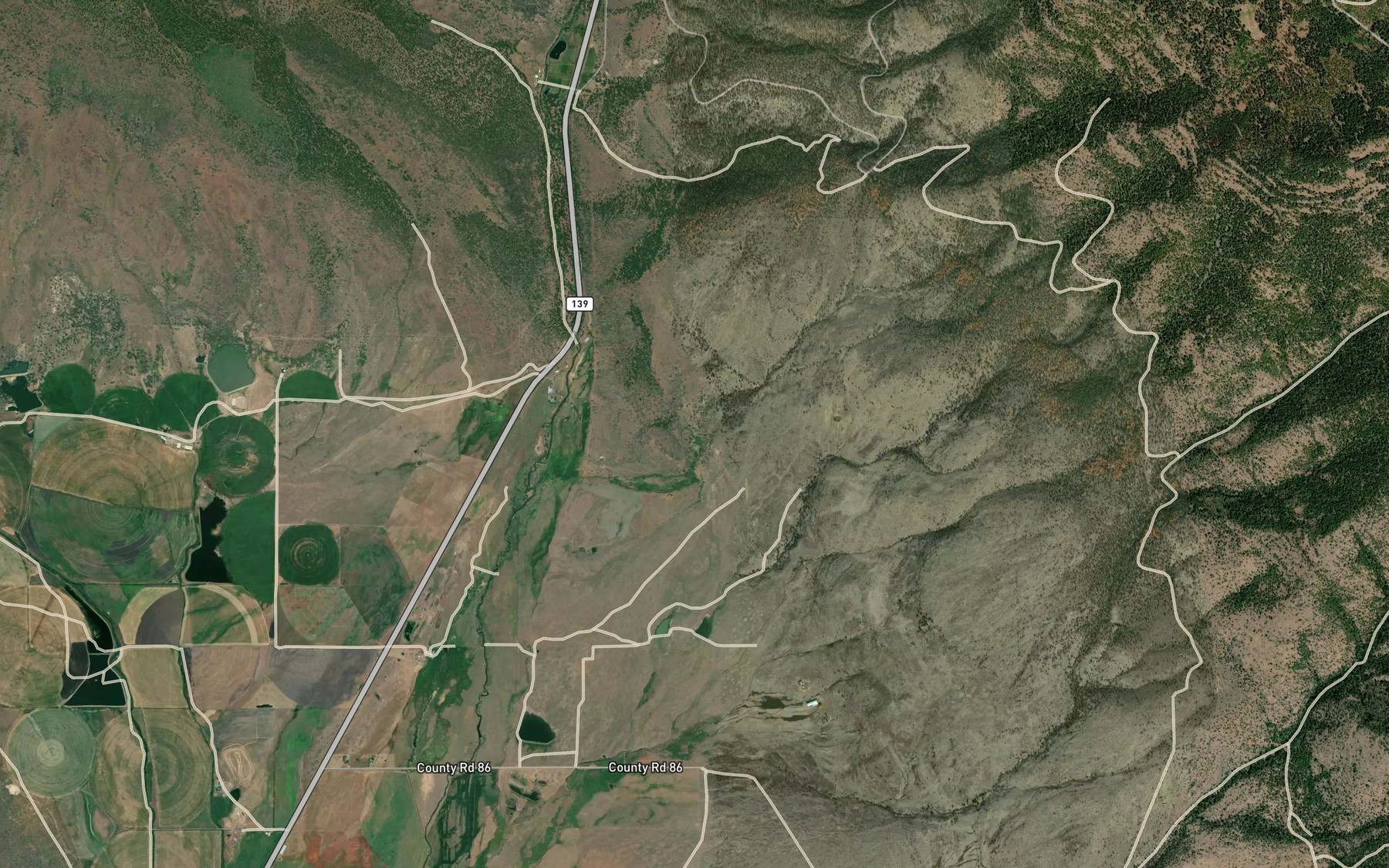 Satellite map of the Rice Springs