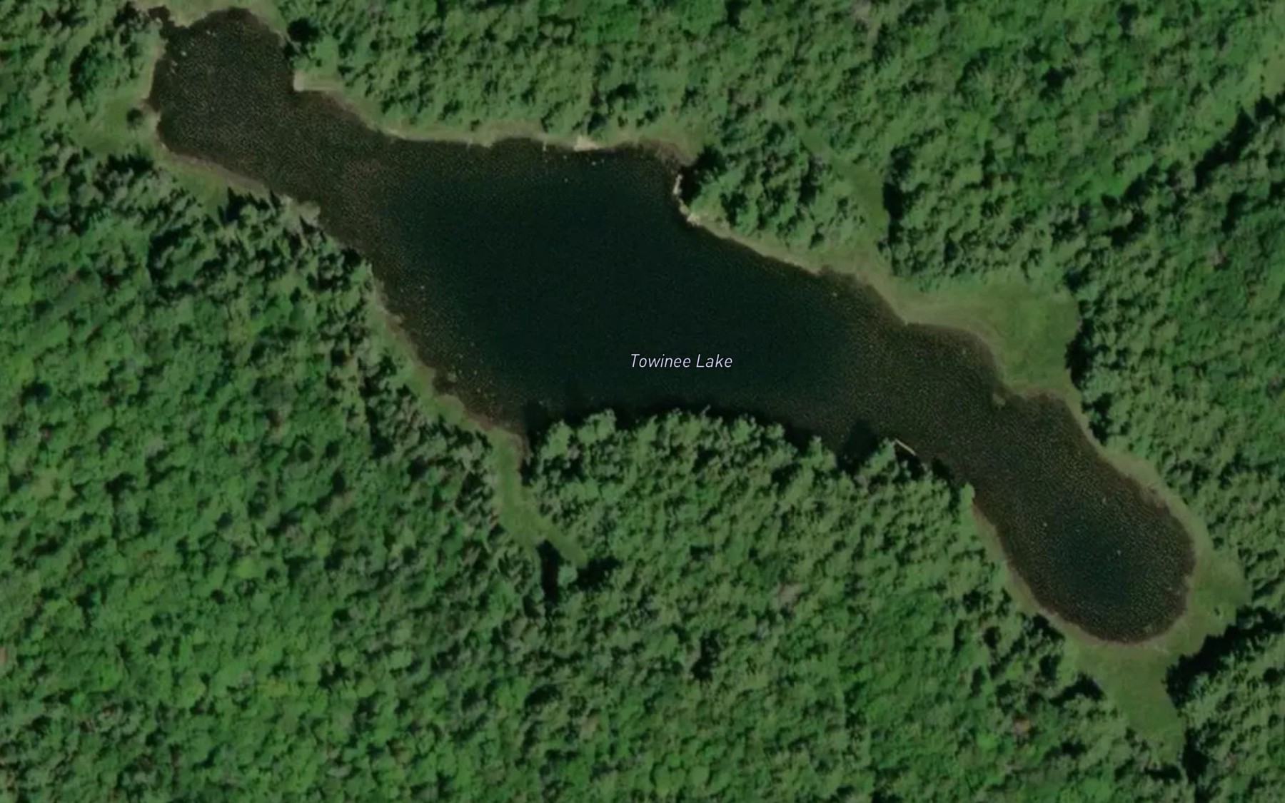 Satellite map of the Towinee Lake