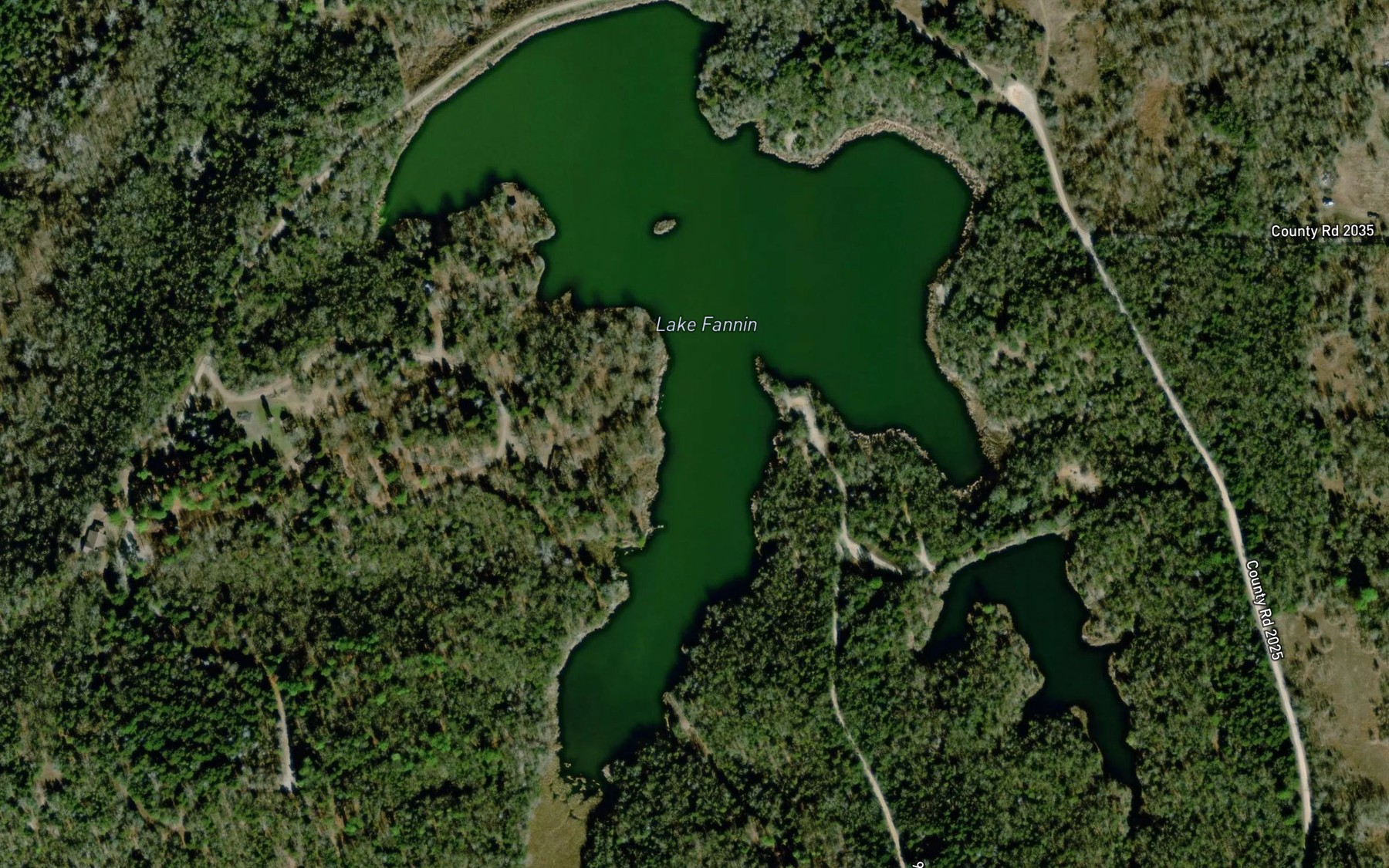 Satellite map of the Lake Fannin