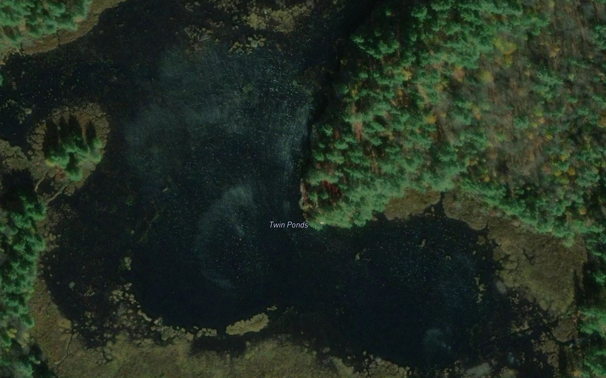 Twin Ponds