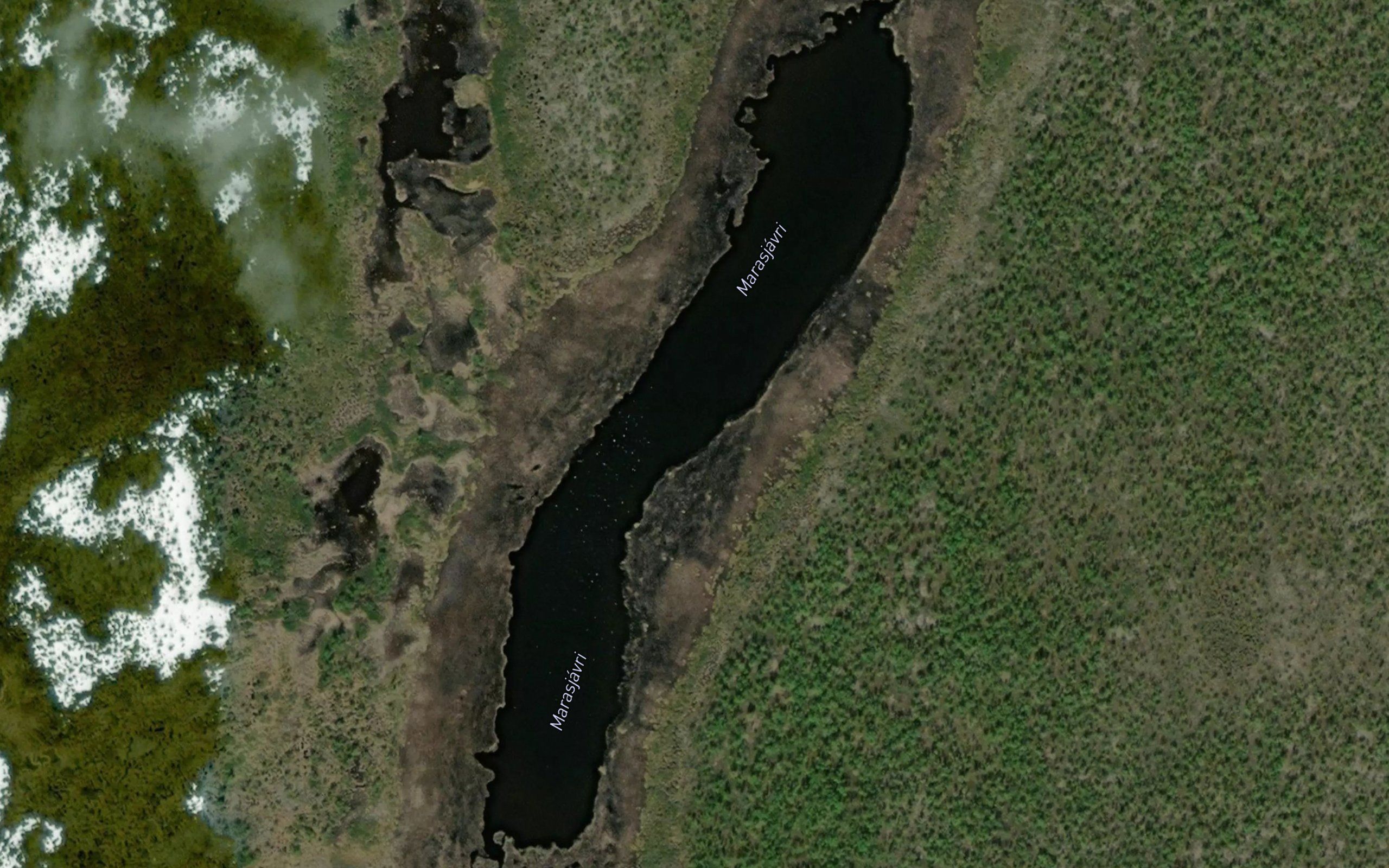 Marasjavri