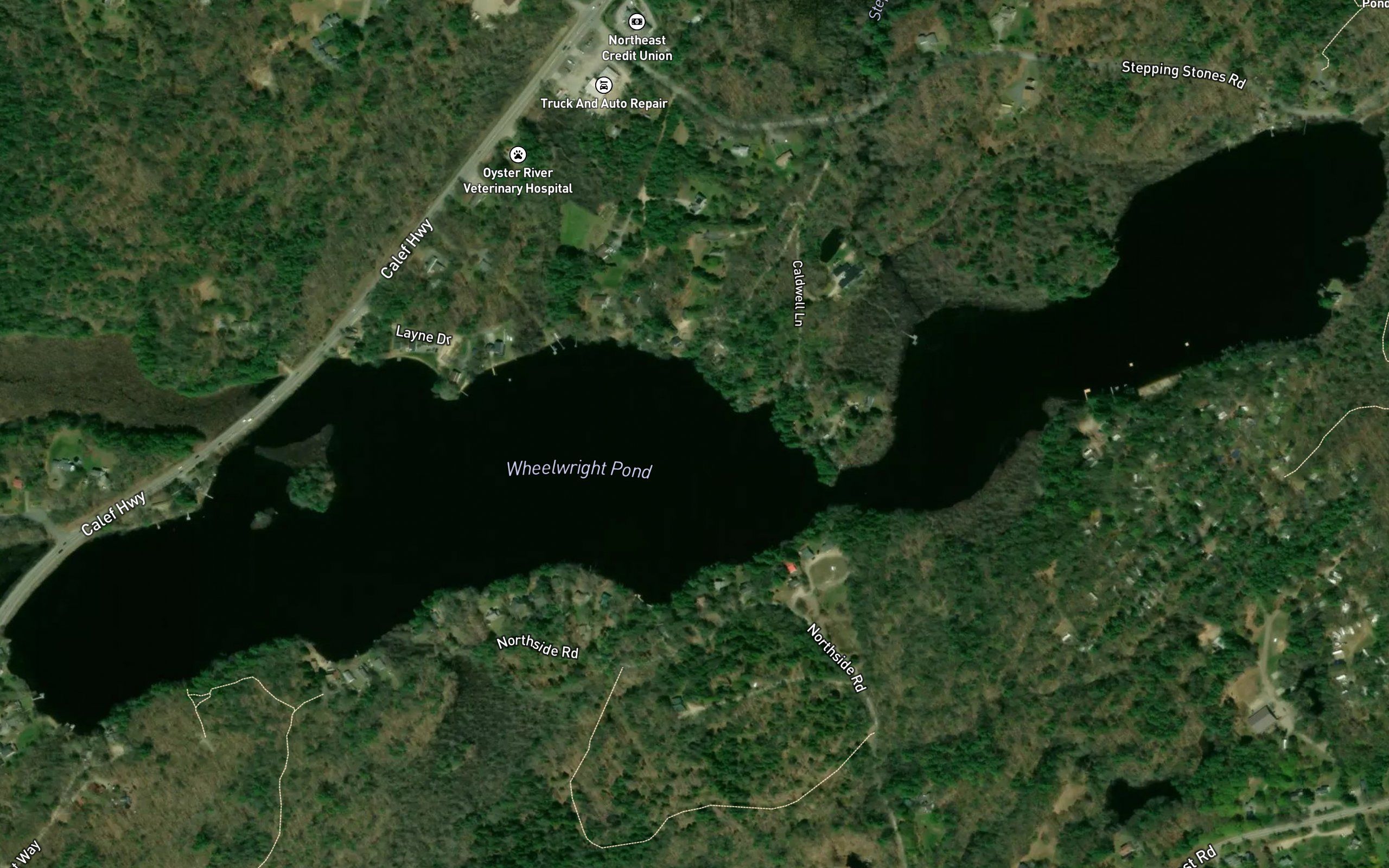 Wheelwright Pond